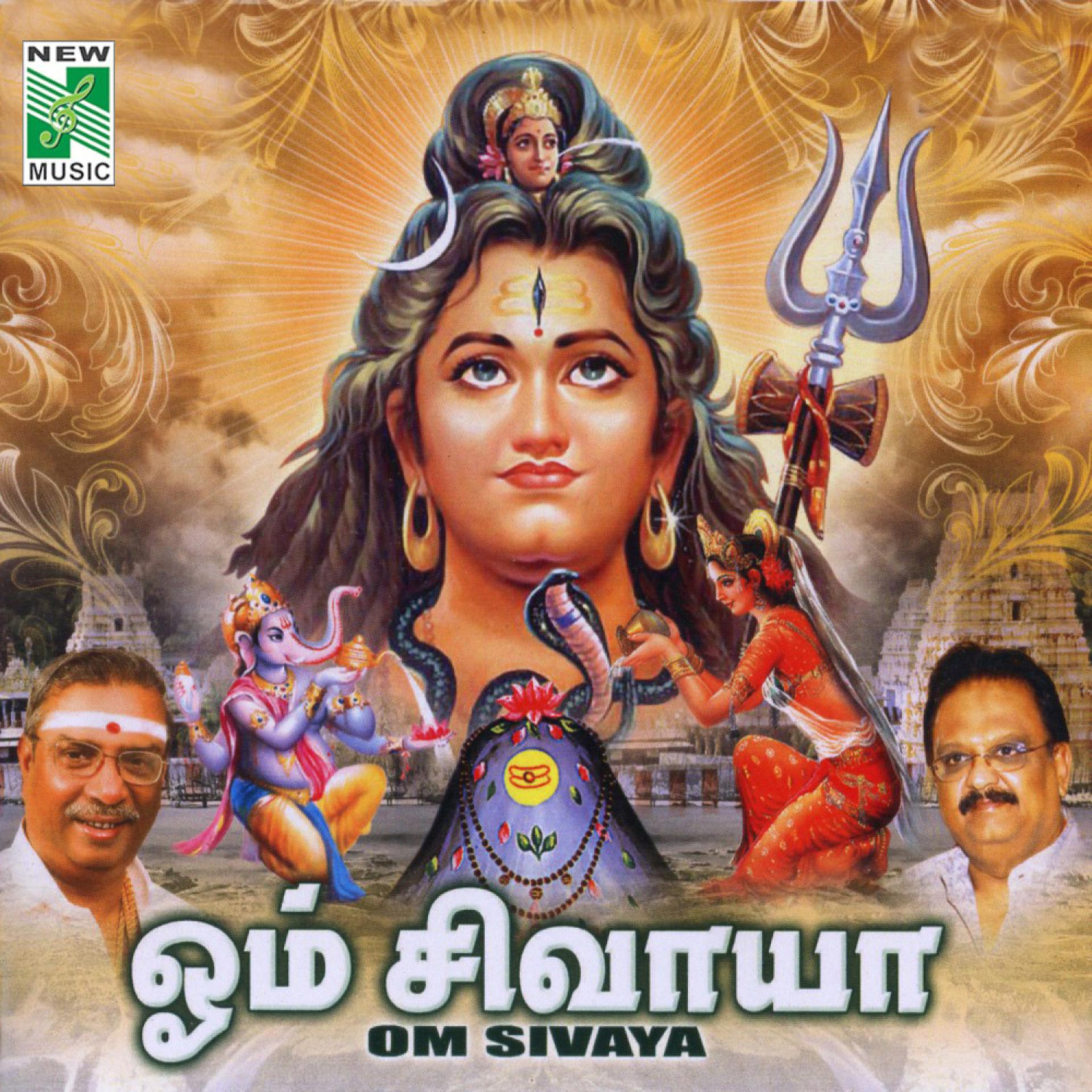 Постер альбома Om Sivaya