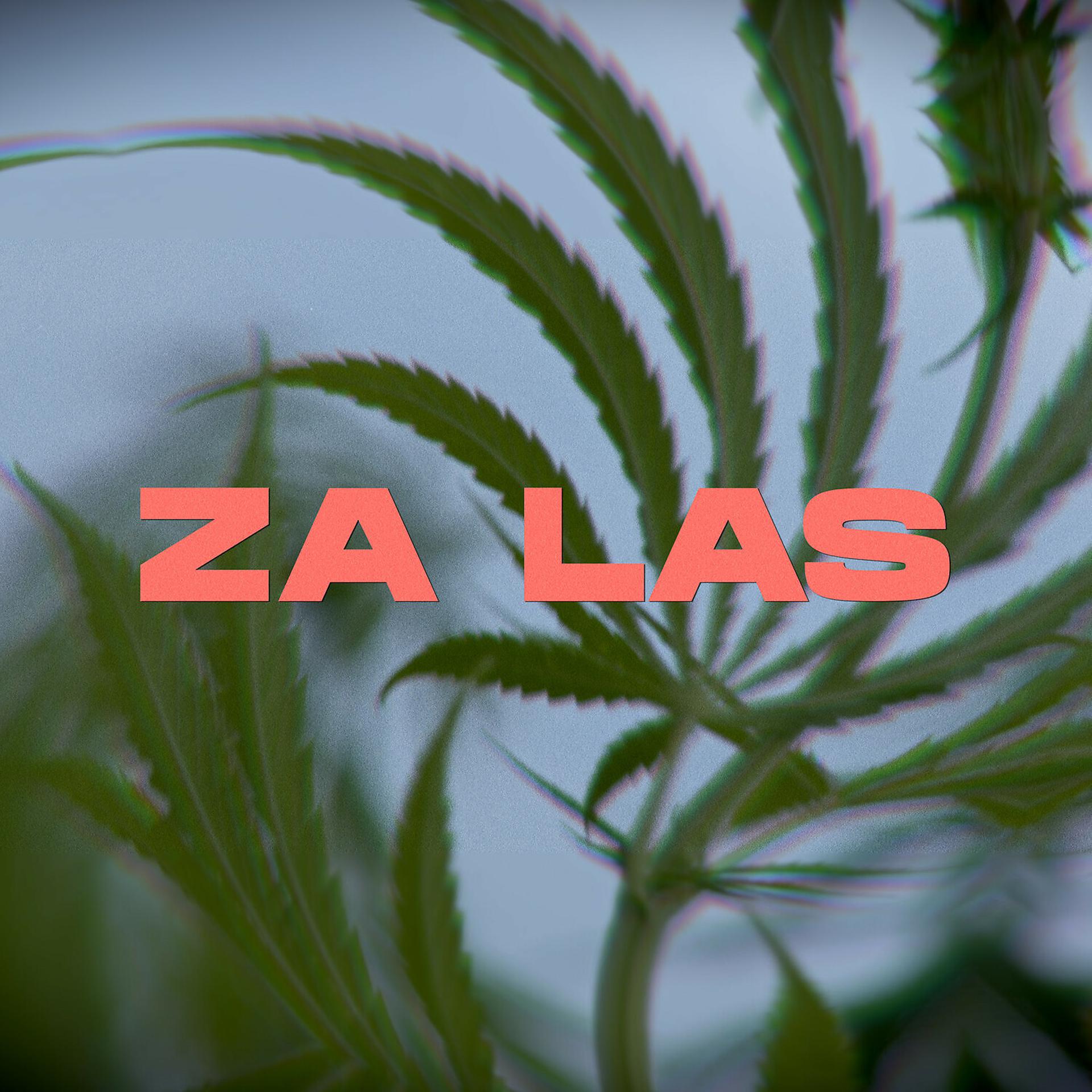 Постер альбома Za las