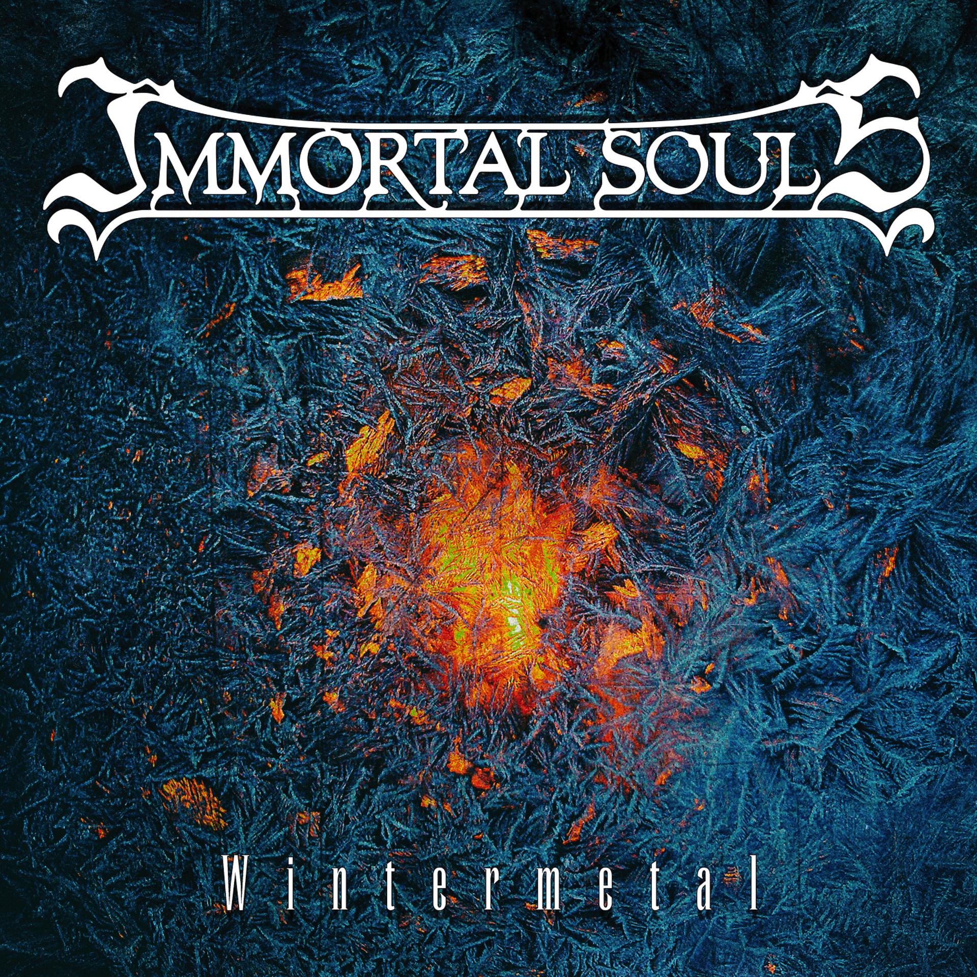 Постер альбома Wintermetal