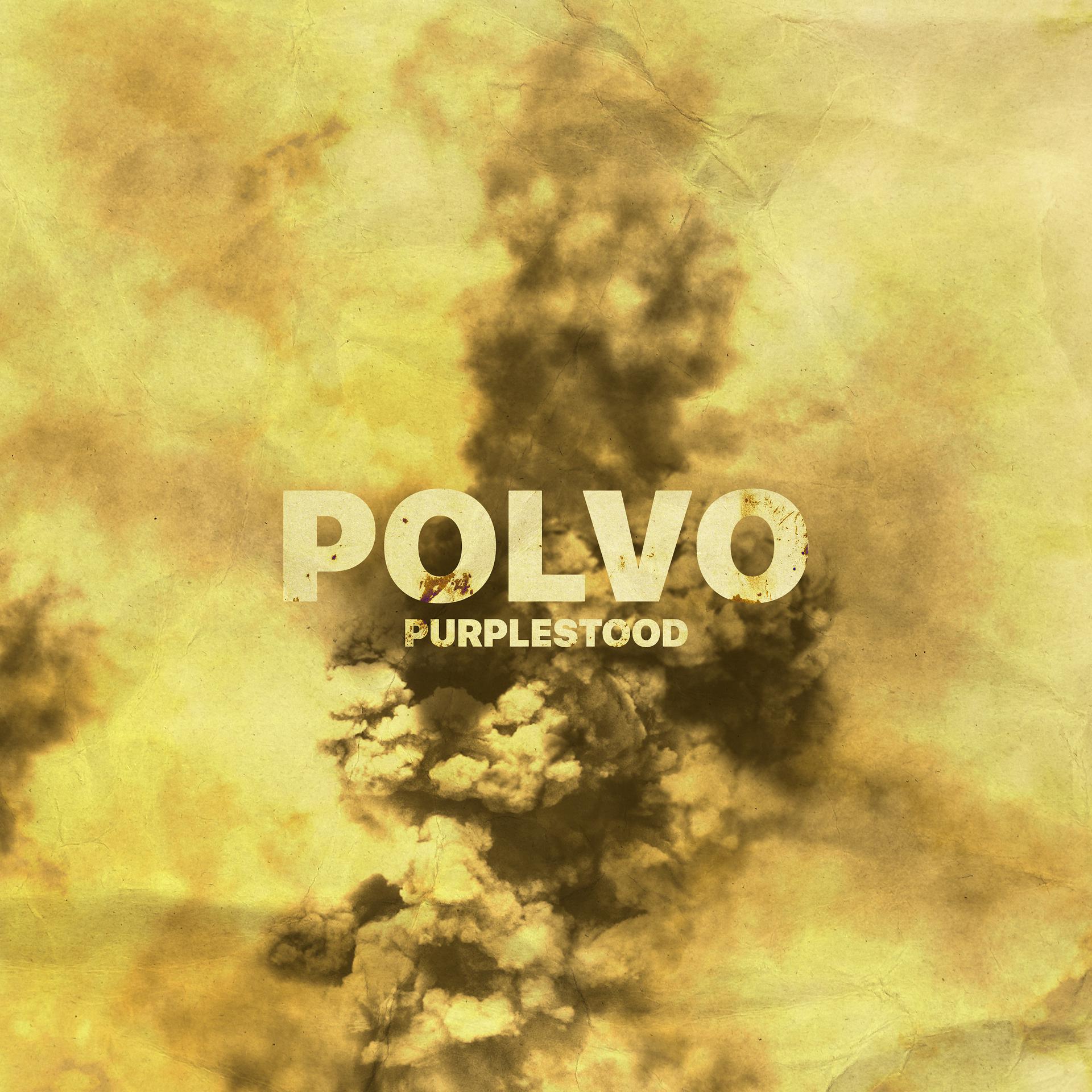 Постер альбома Polvo