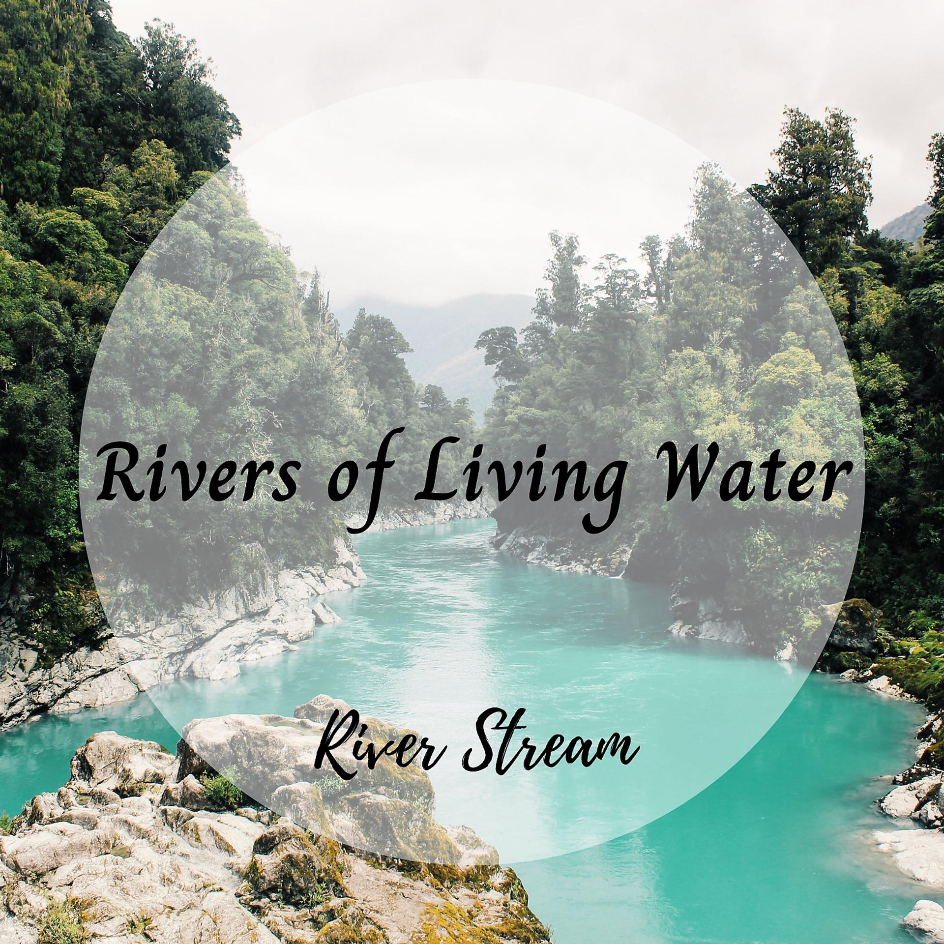 Постер альбома River Stream: Rivers of Living Water