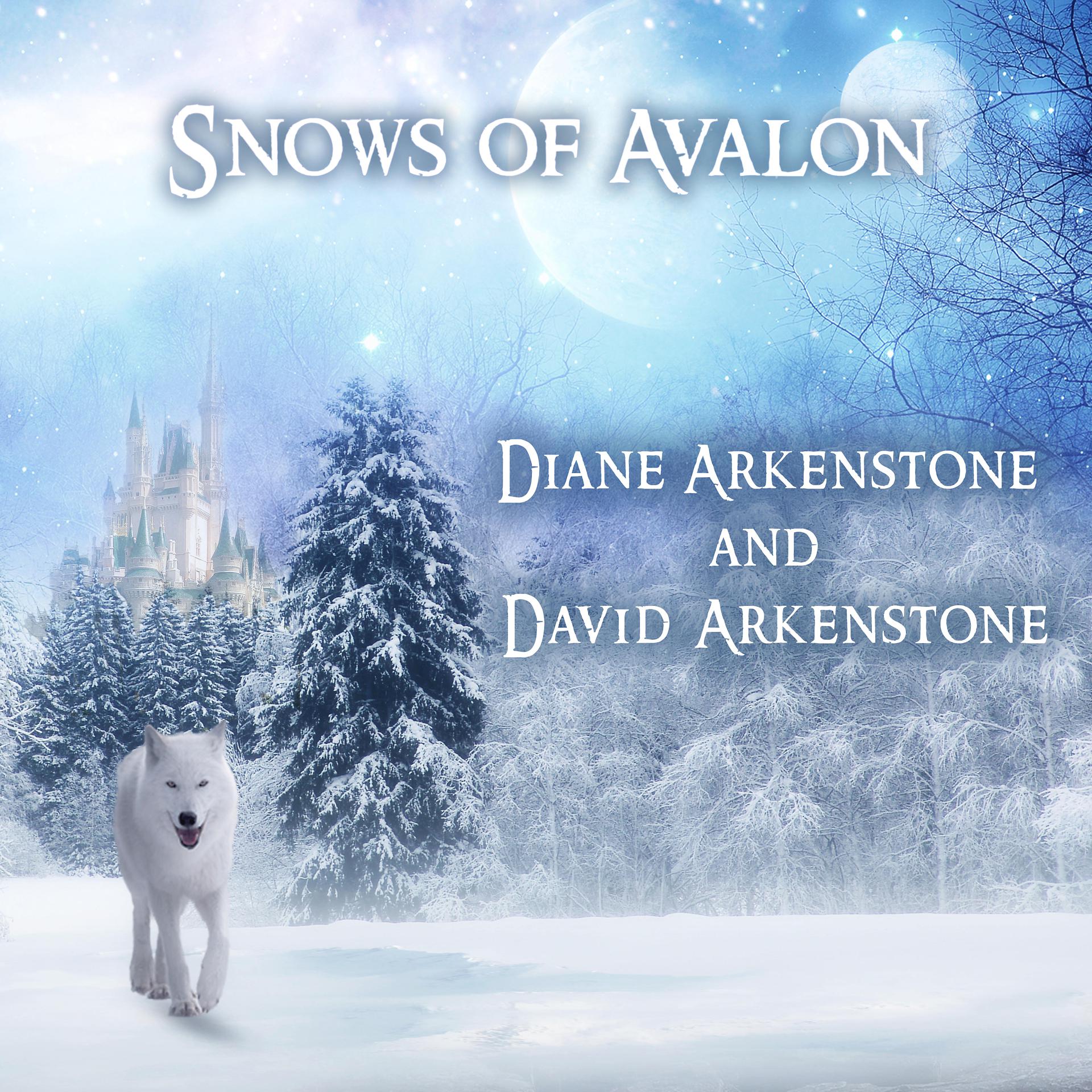 Постер альбома Snows of Avalon