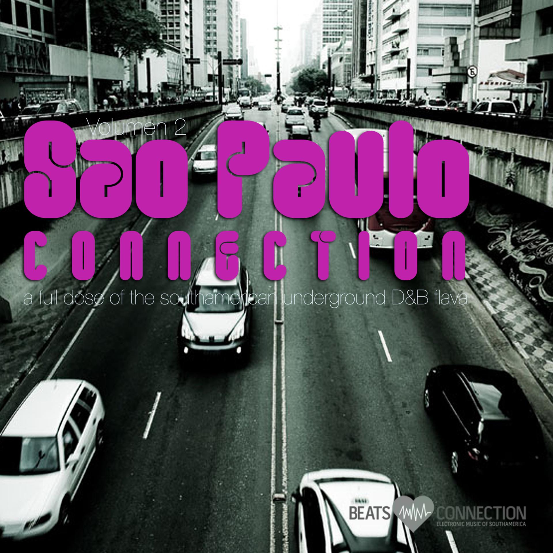 Постер альбома Sao Paulo Connection, Vol. 2