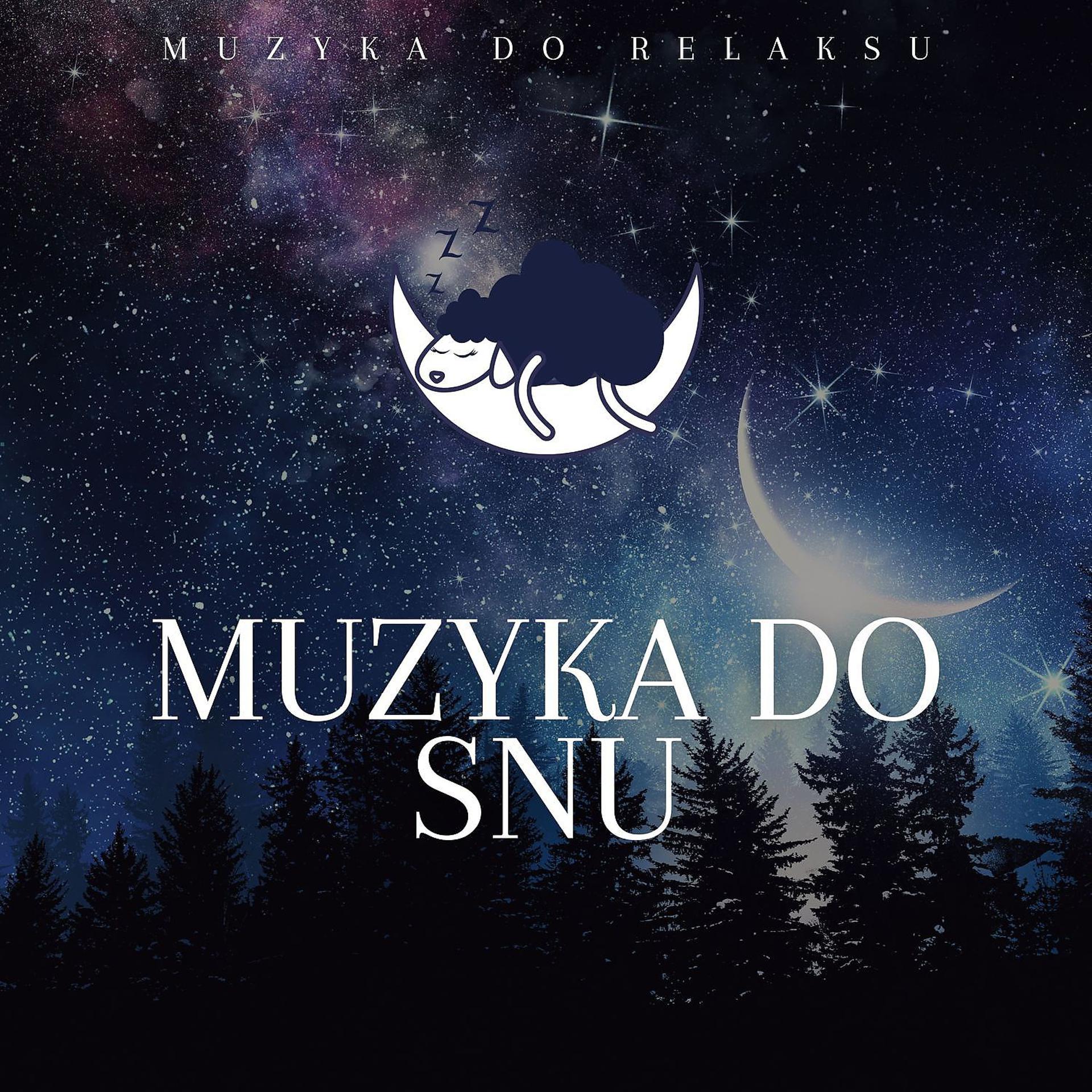 Постер альбома Muzyka do Glebokiego Snu