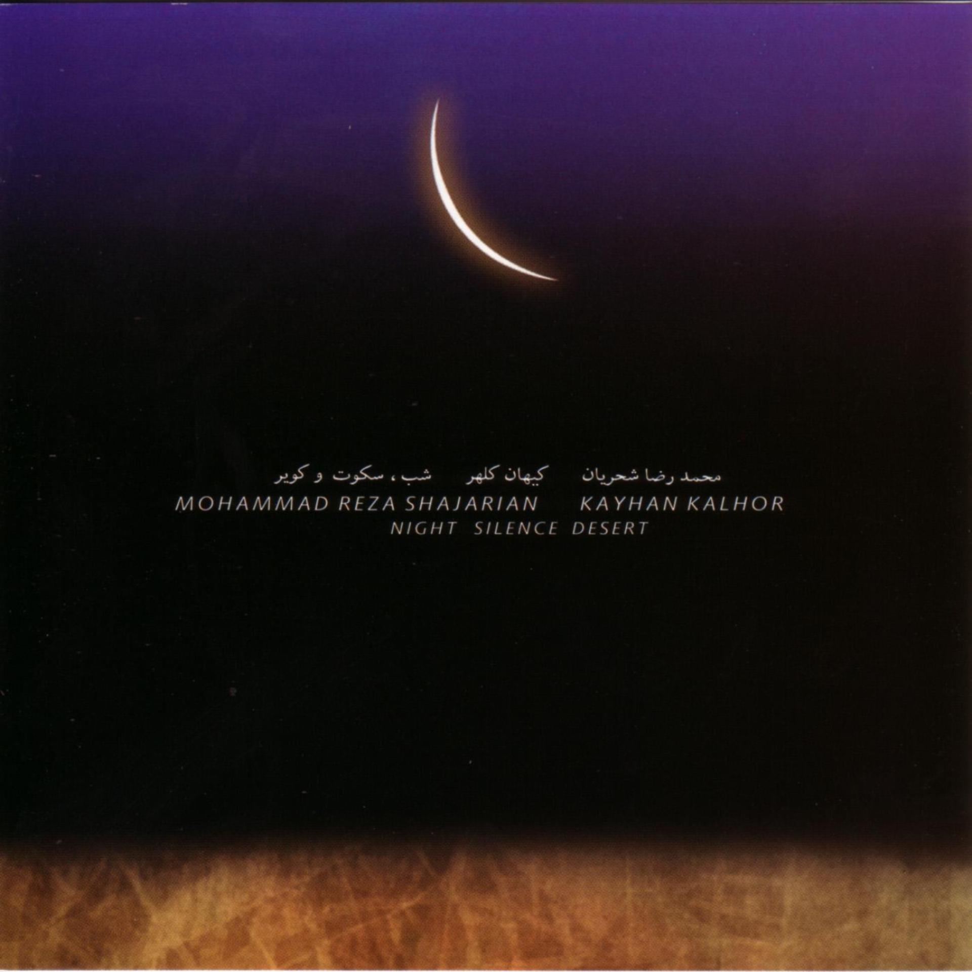 Постер альбома Night Silence Desert