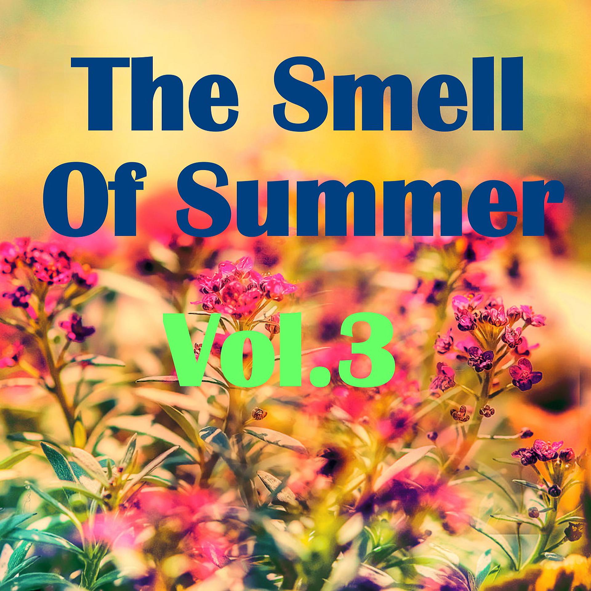 Постер альбома The Smell Of Summer, Vol.3