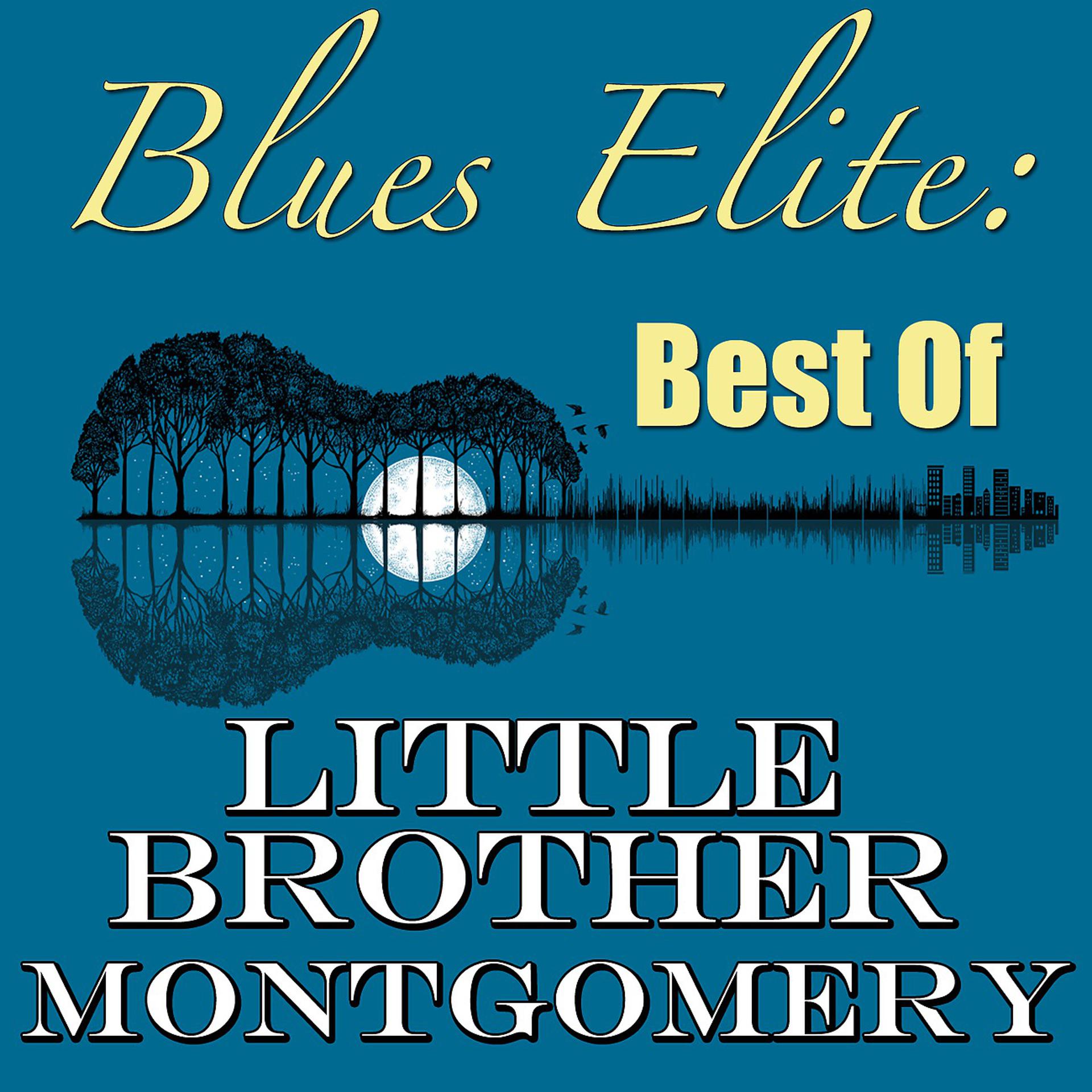 Постер альбома Blues Elite: Best Of Little Brother Montgomery