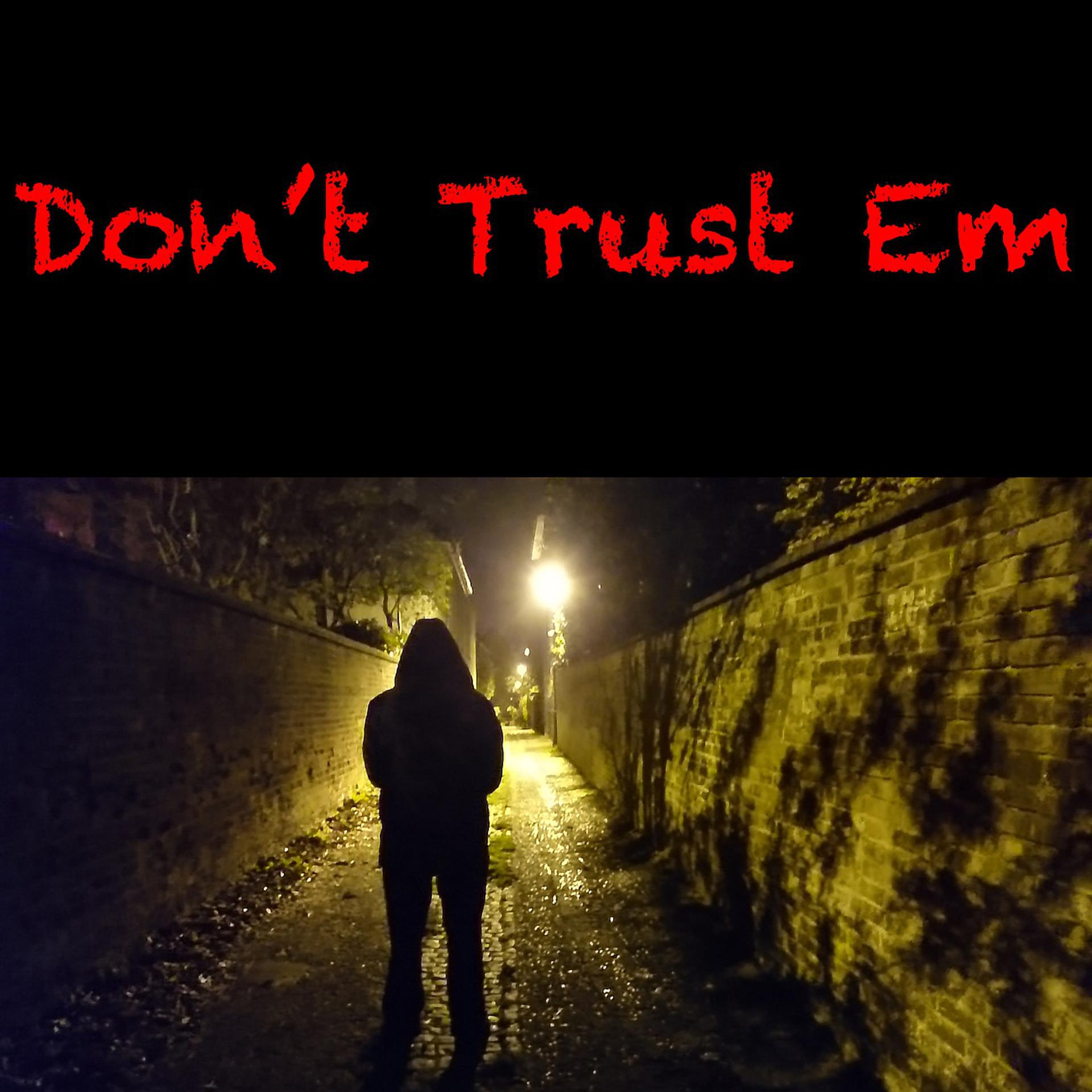 Постер альбома Don't Trust Em