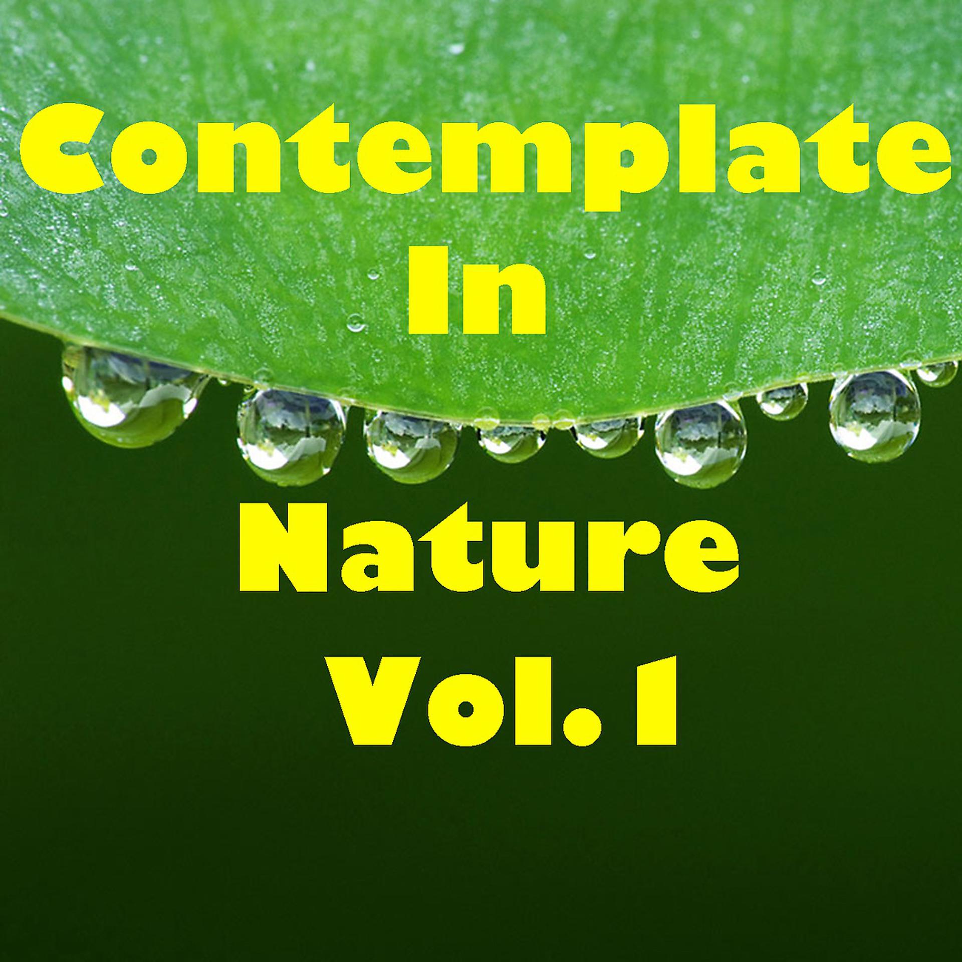 Постер альбома Contemplate In Nature, Vol.1