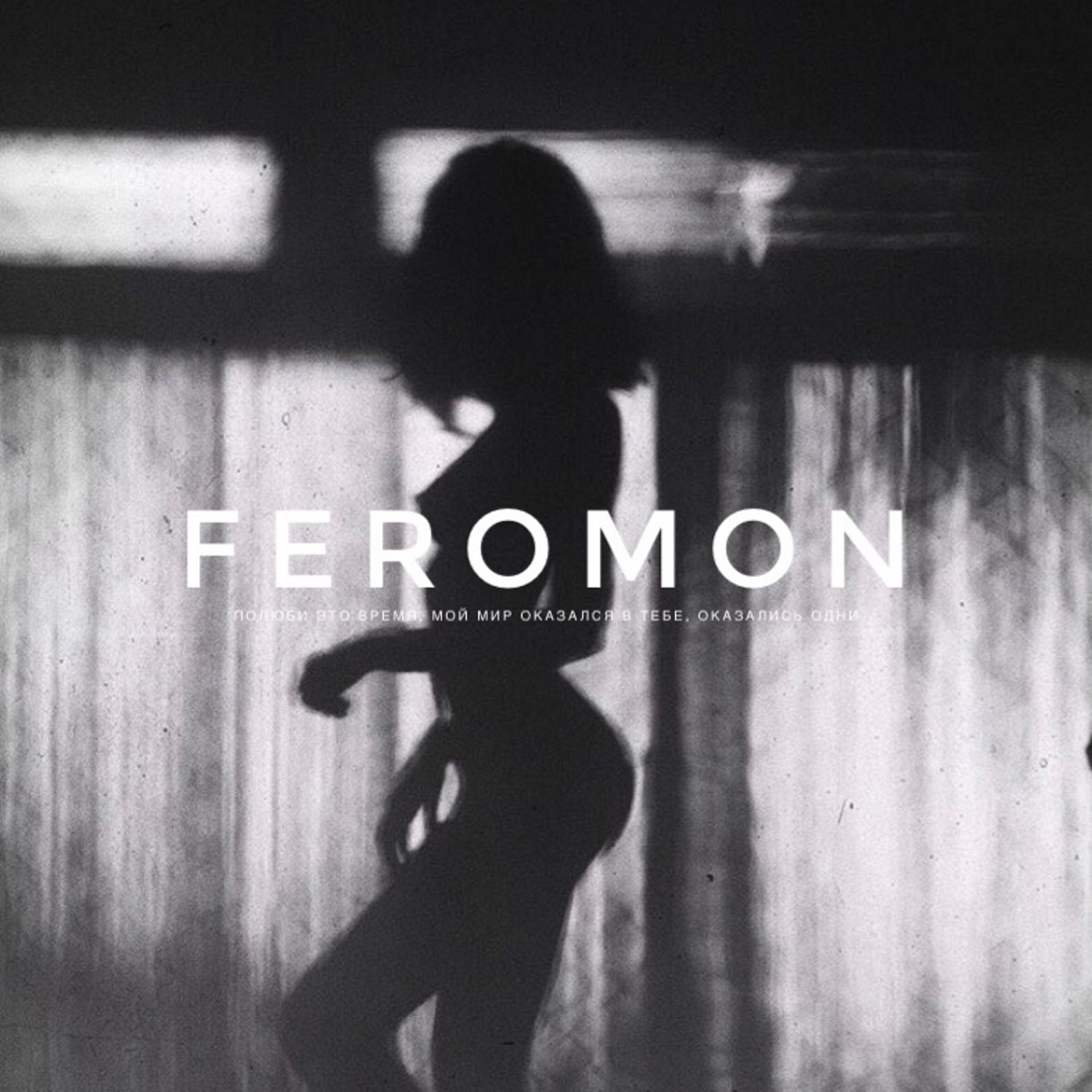 Постер альбома Feromon
