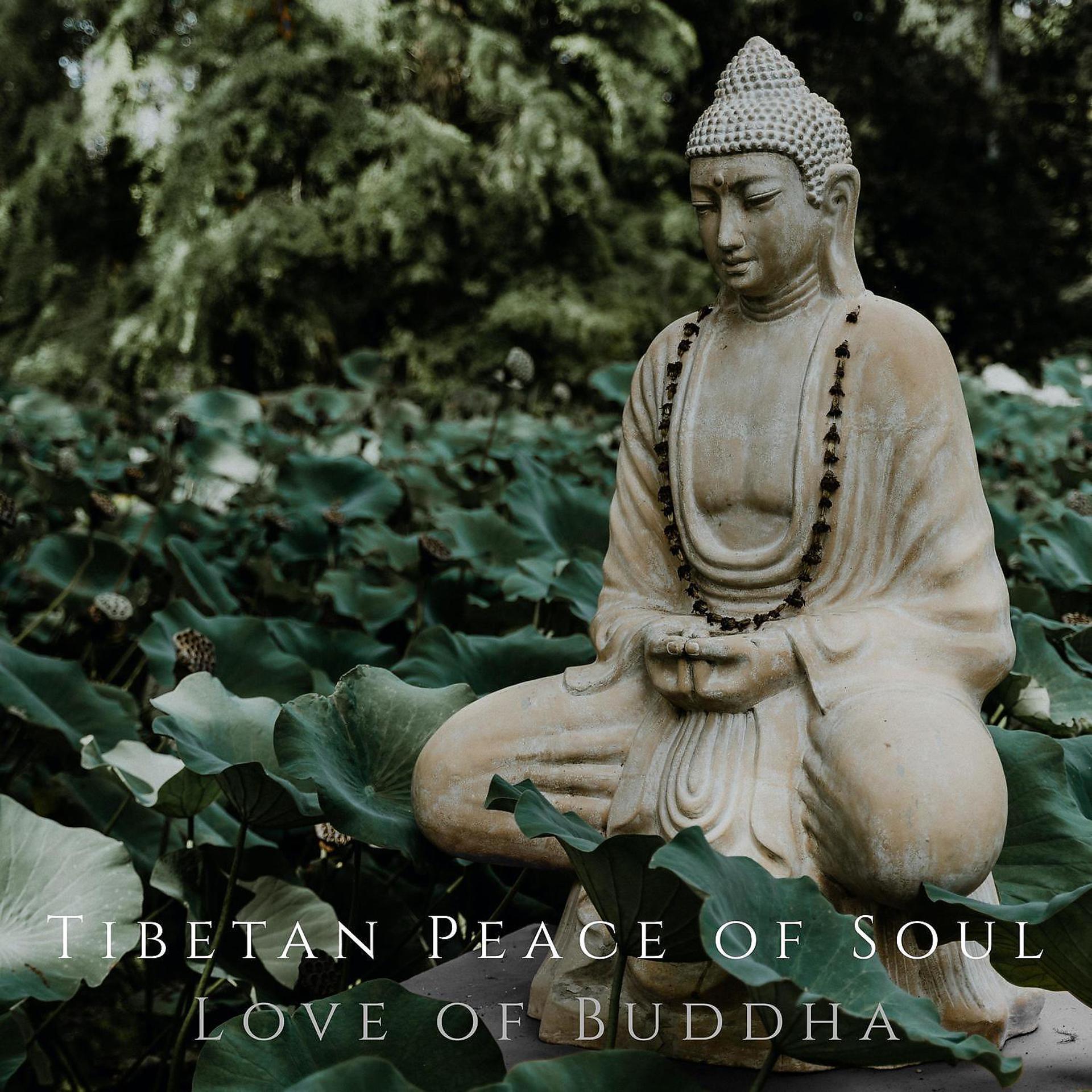 Постер альбома Love of Buddha