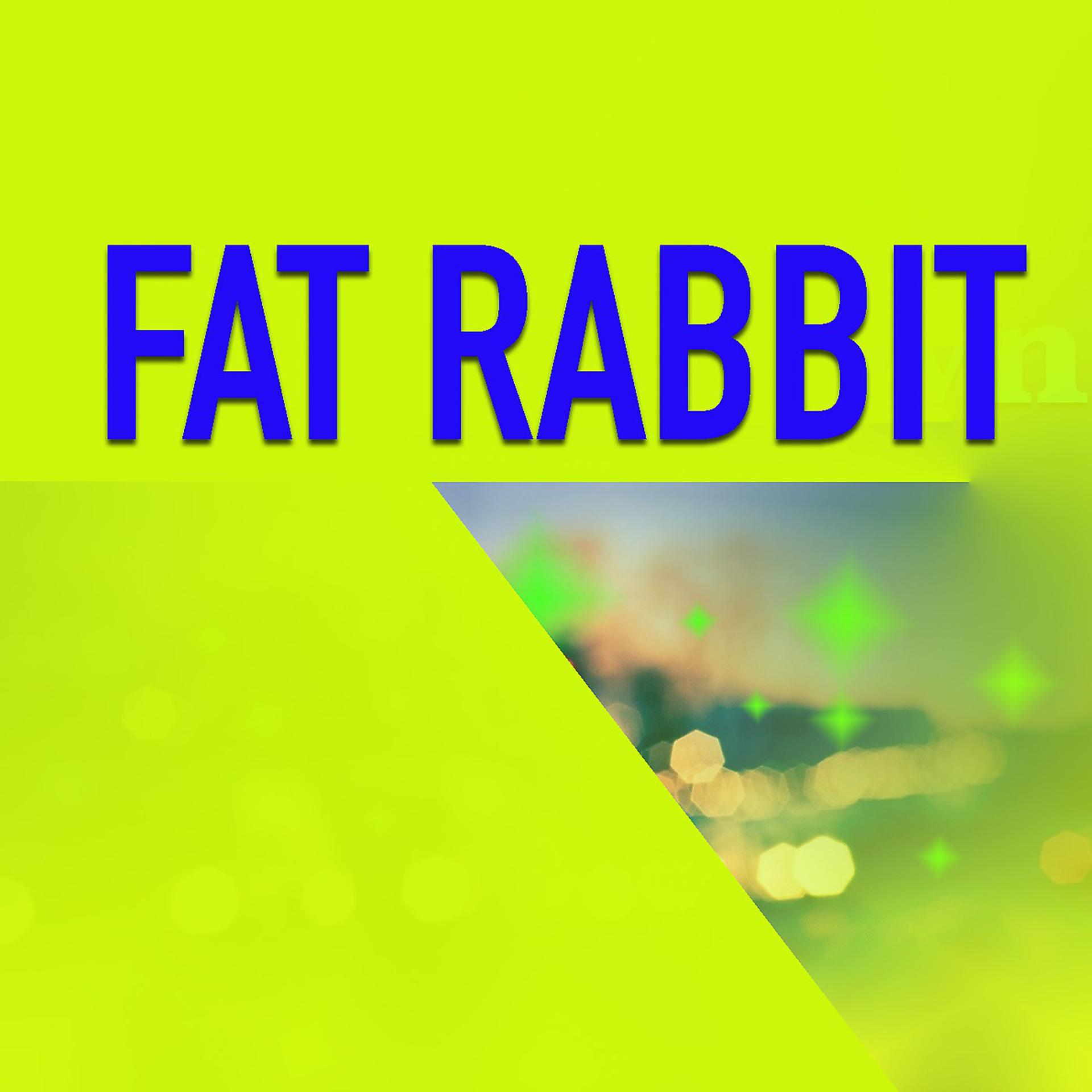 Постер альбома Fat Rabbit