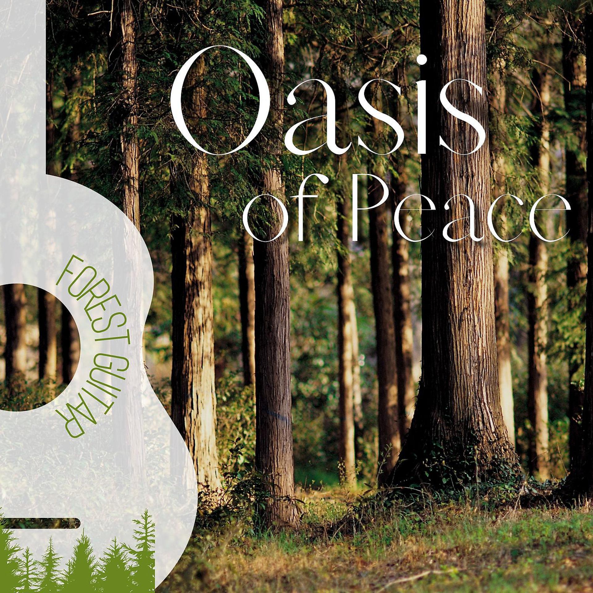Постер альбома Oasis of Peace