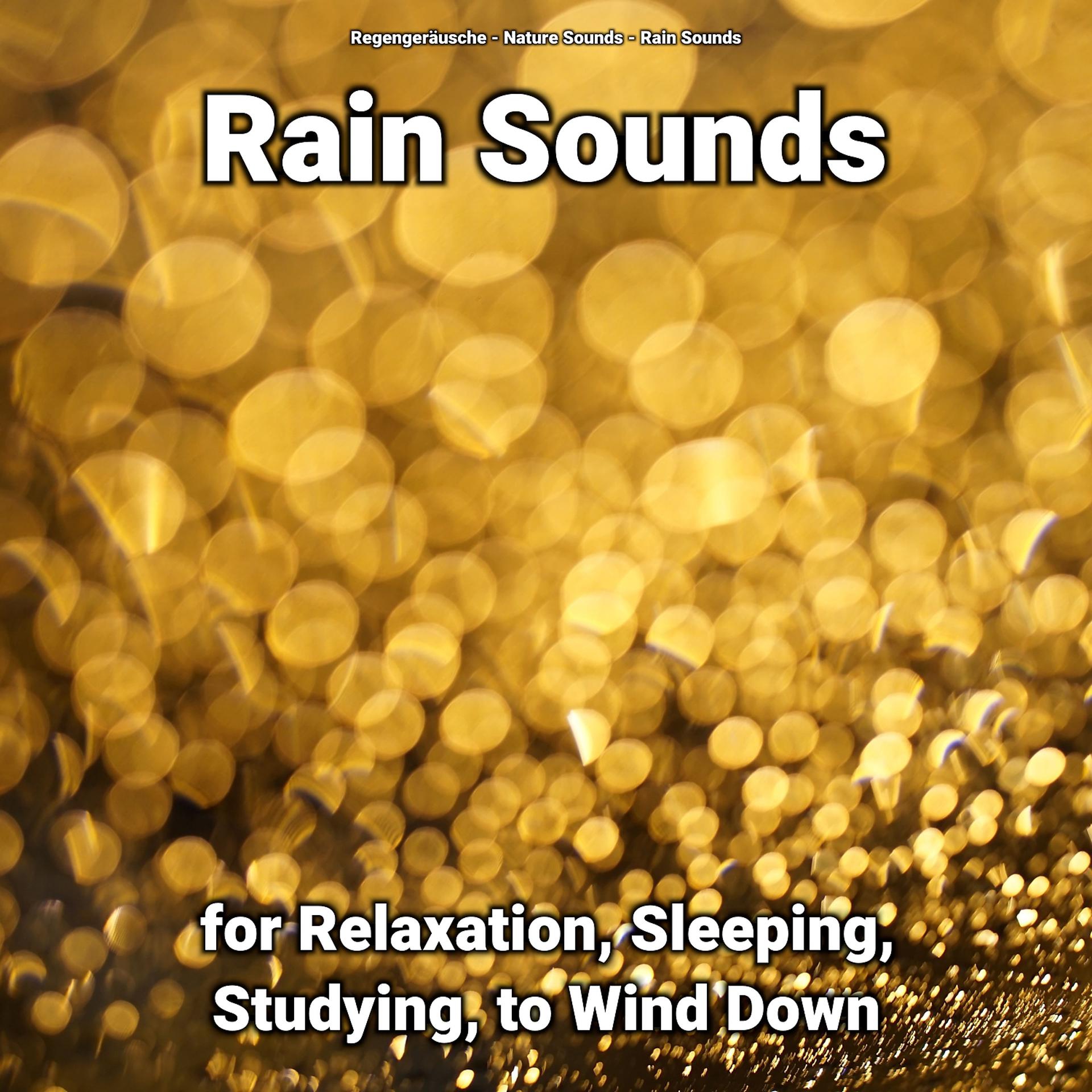 Постер альбома Rain Sounds for Relaxation, Sleeping, Studying, to Wind Down