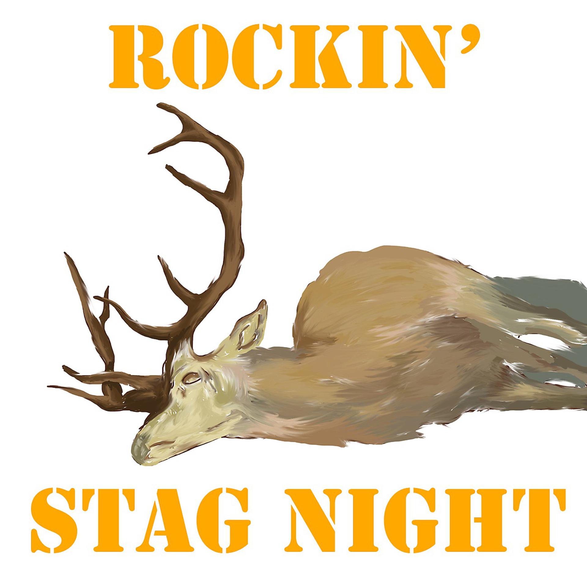 Постер альбома Rockin' Stag Night, Vol. 3