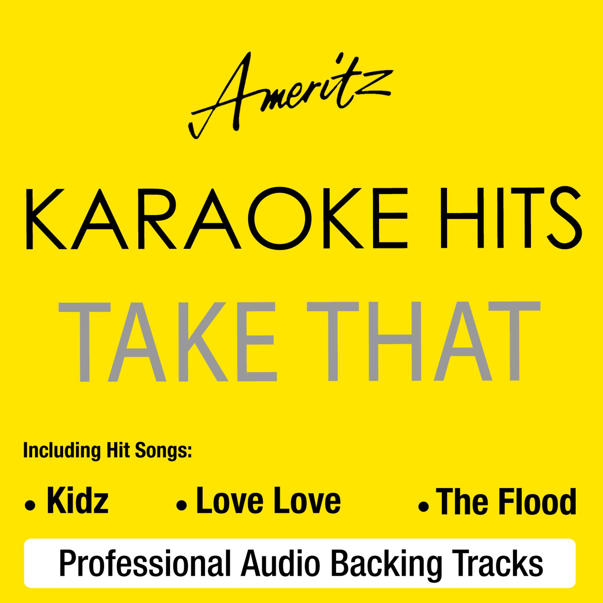 Постер альбома Karaoke Hits - Take That