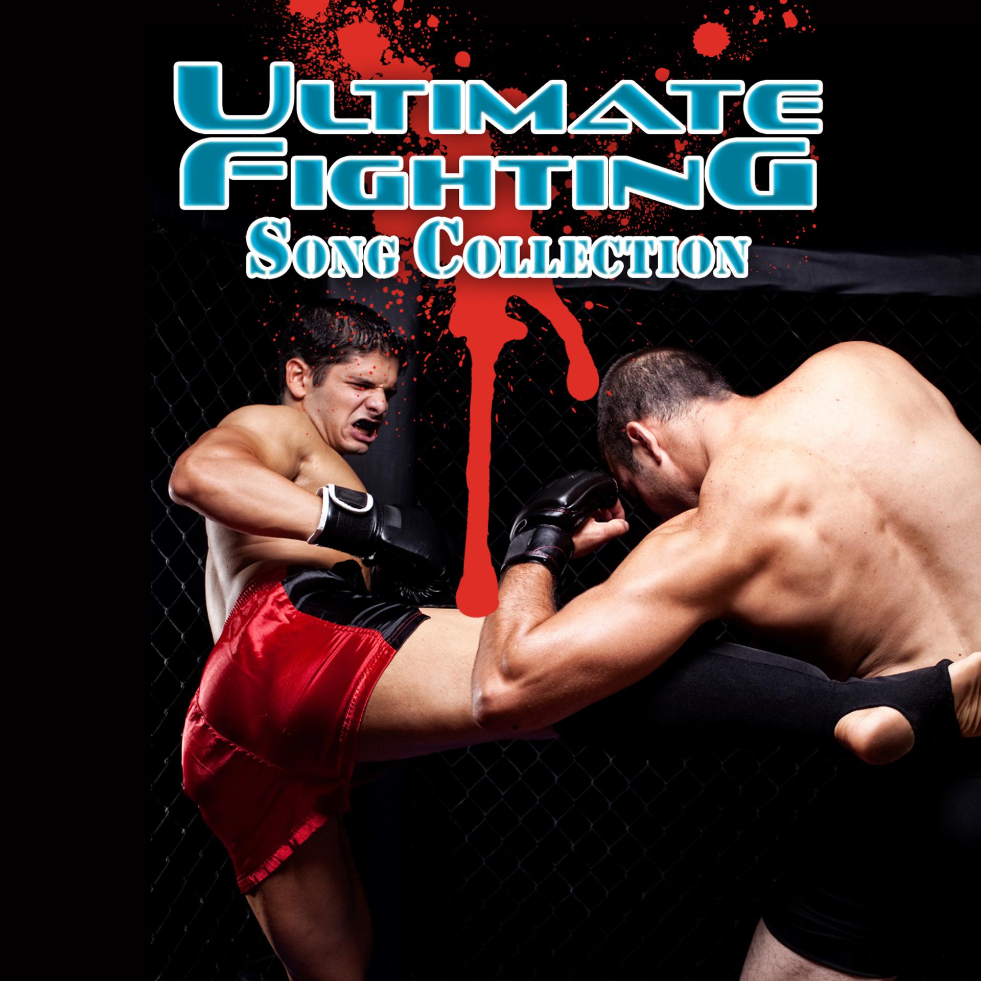 Постер альбома Ultimate Fighting Song Collection