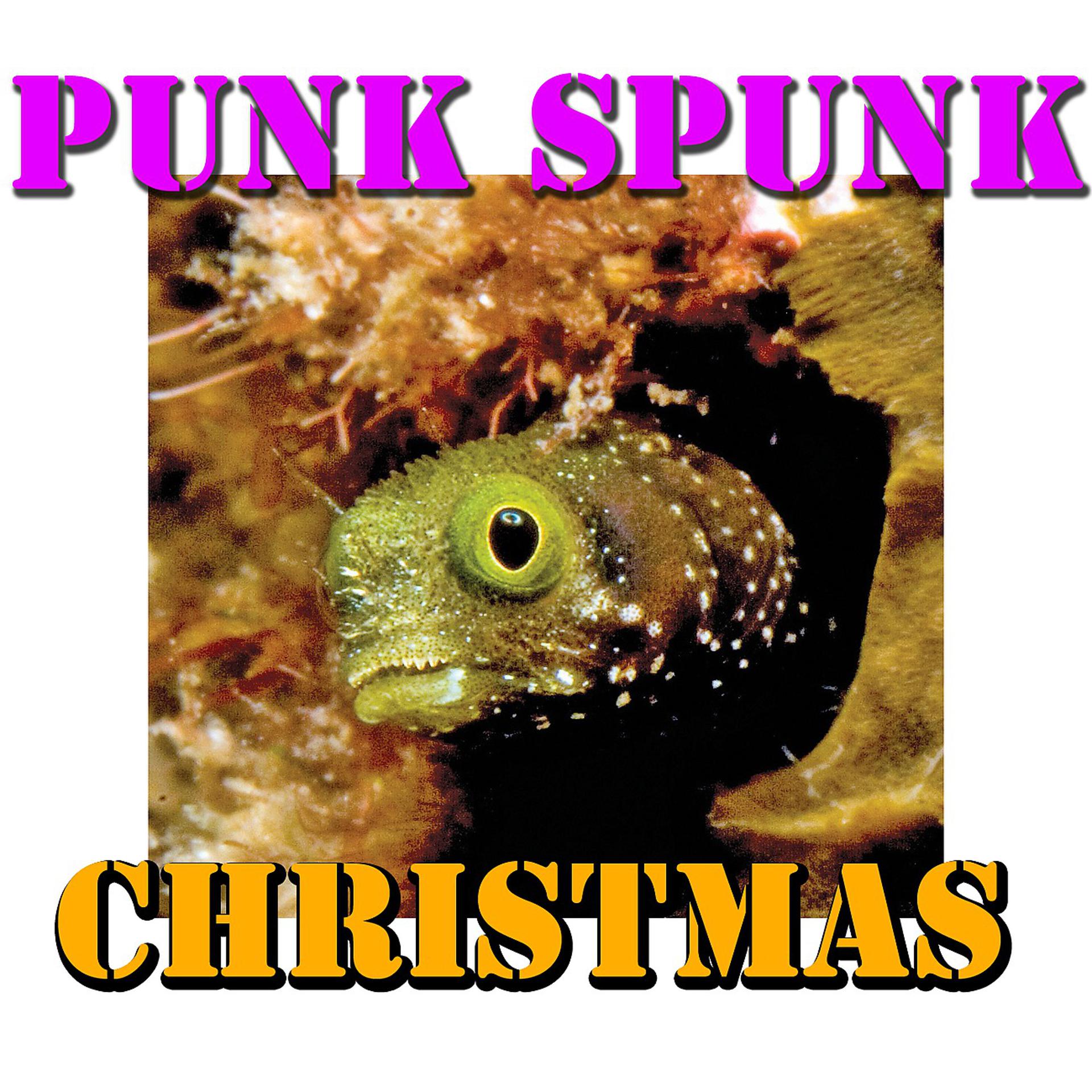 Постер альбома Punk Spunk Christmas, Vol.2