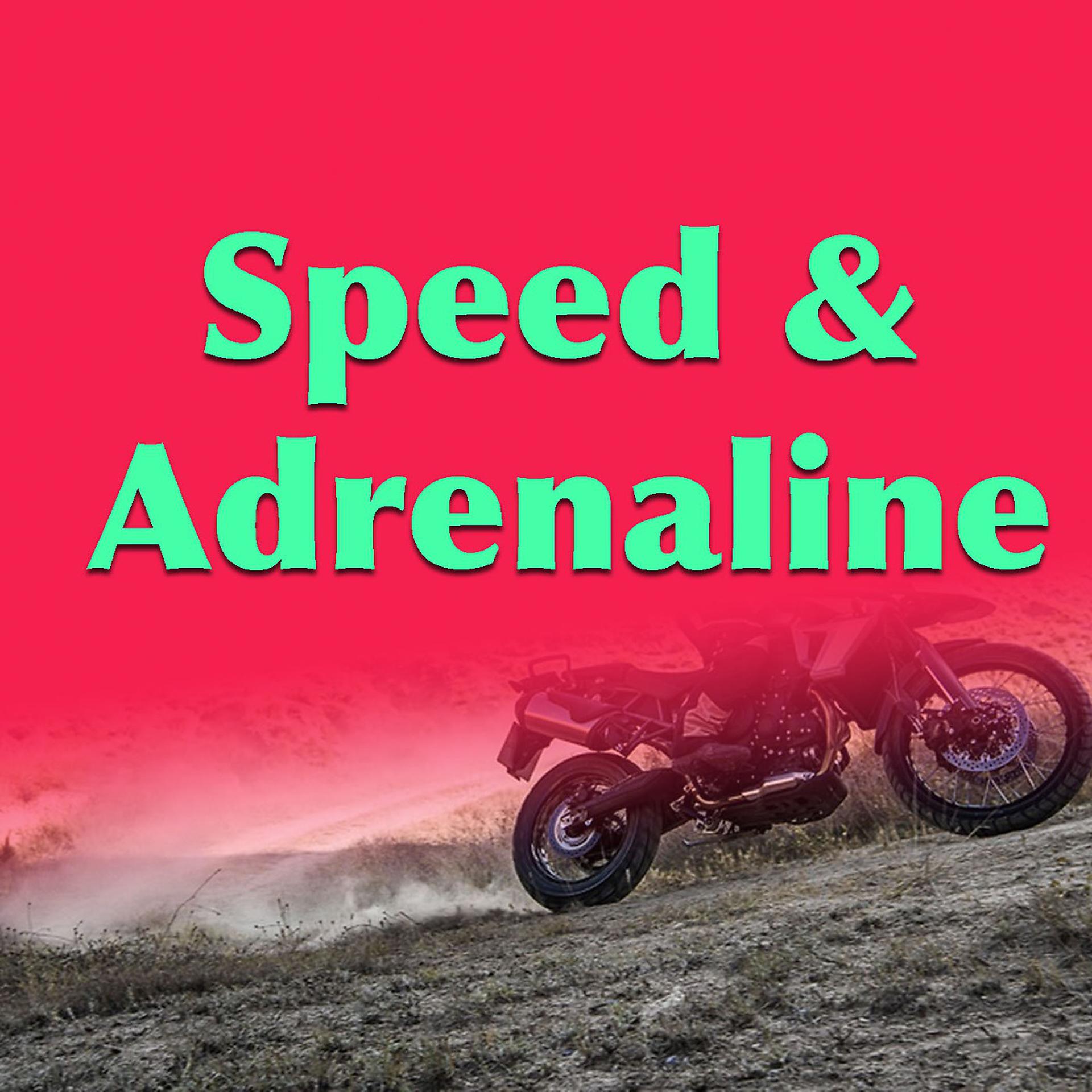 Постер альбома Speed & Adrenaline
