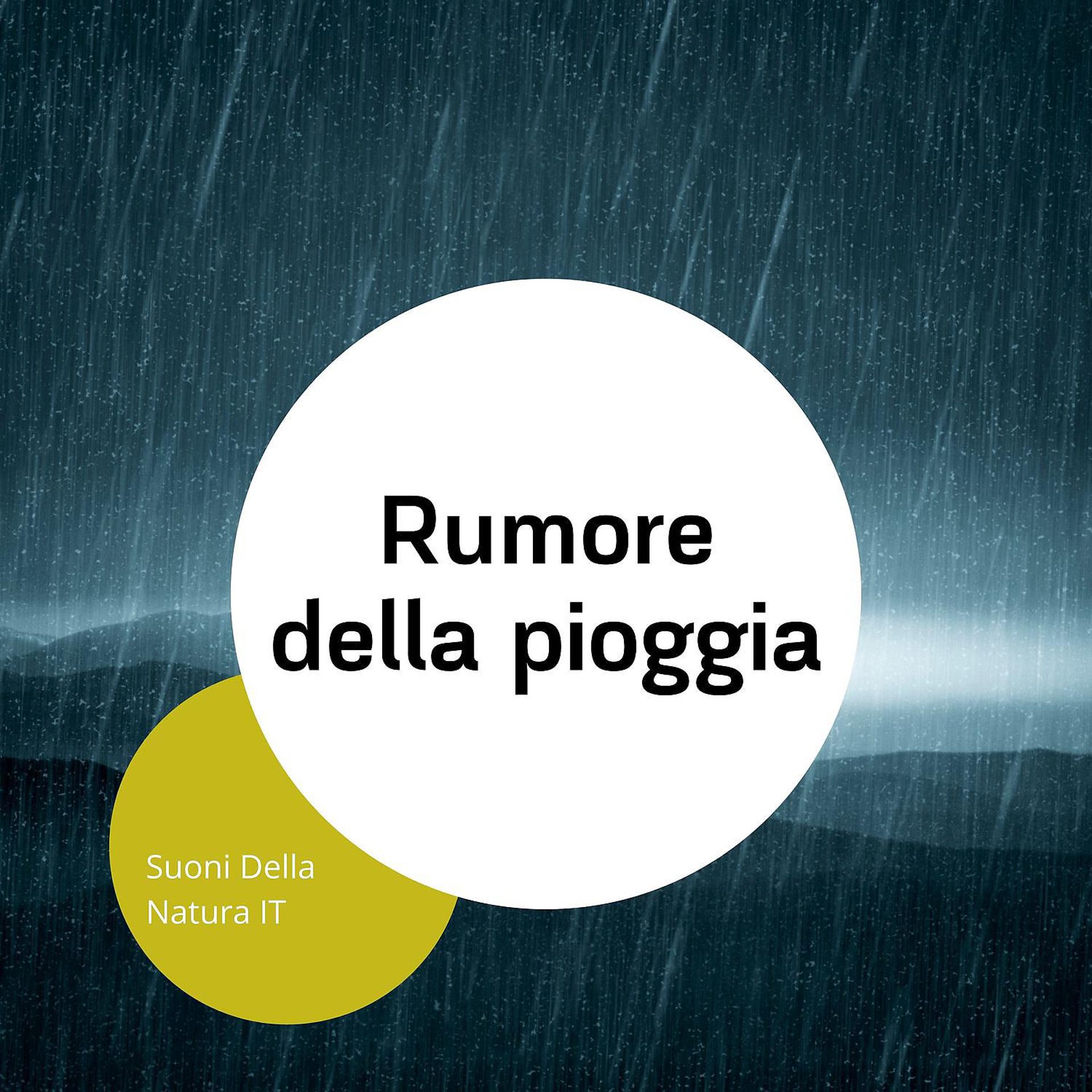 Постер альбома Rumore della pioggia