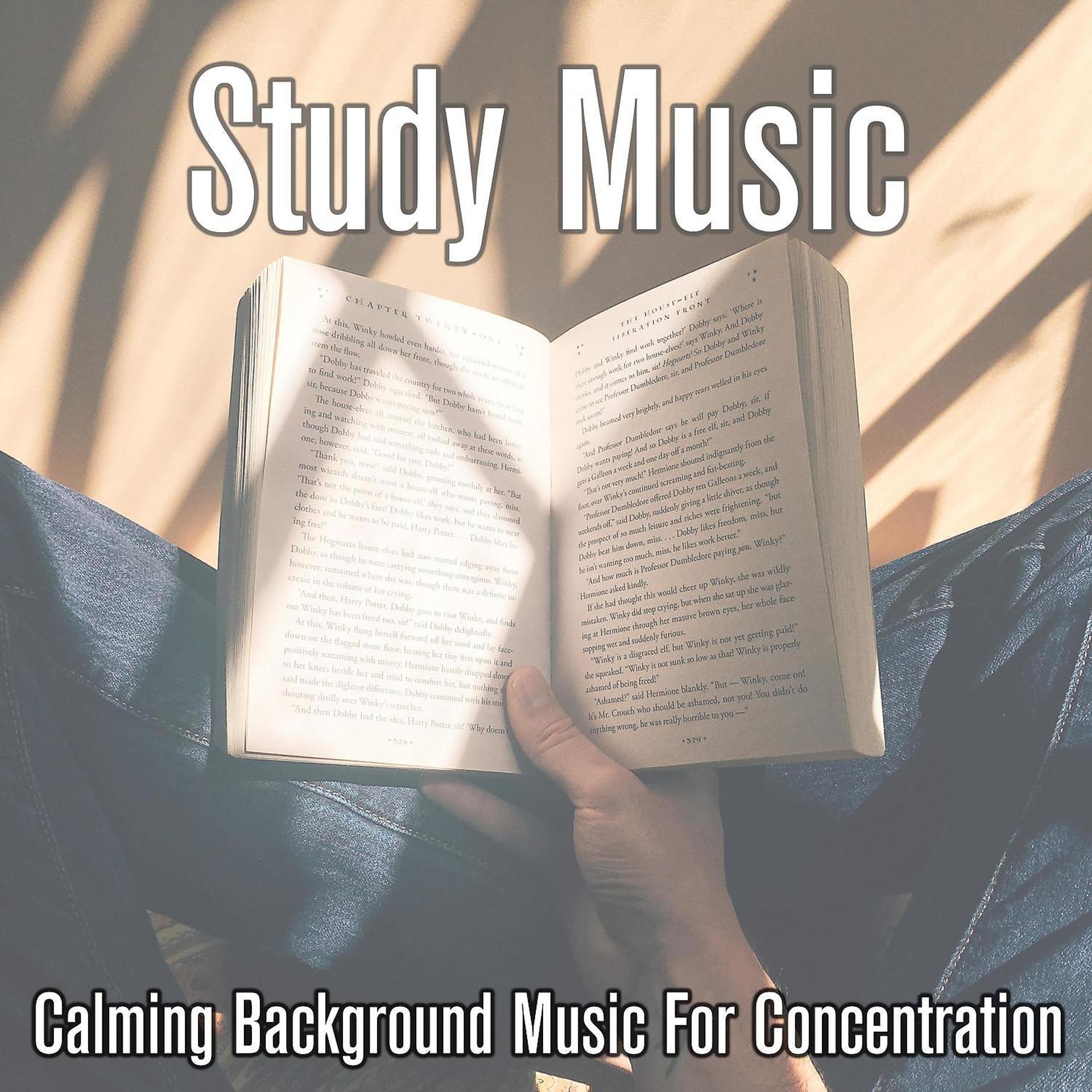 Постер альбома Study Music: Calming BGM for Concentration