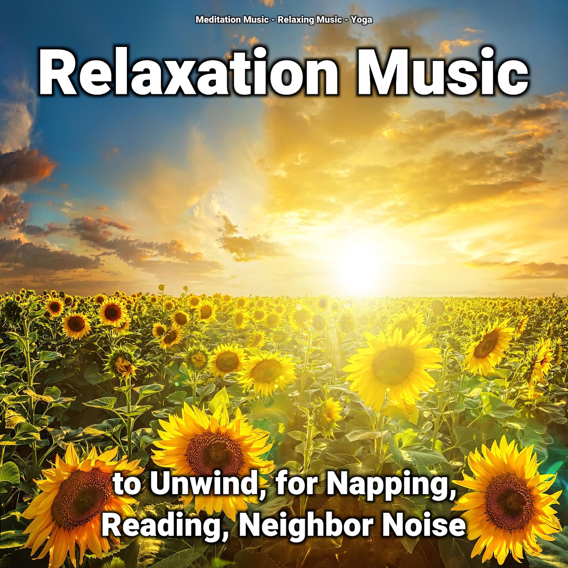 Постер альбома Relaxation Music to Unwind, for Napping, Reading, Neighbor Noise