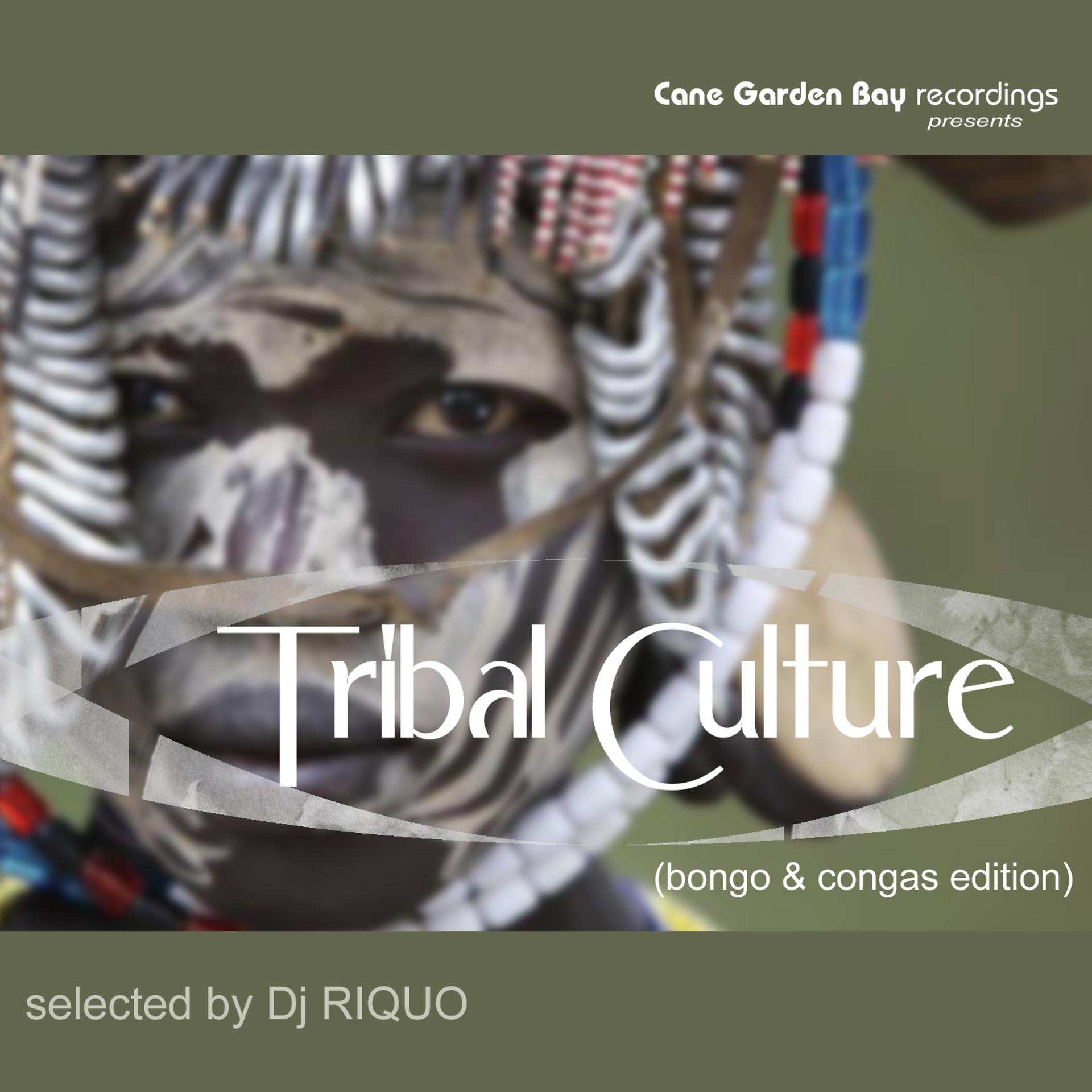 Постер альбома Tribal Culture (Bongo & Congas Edition) Selected By Dj Riquo