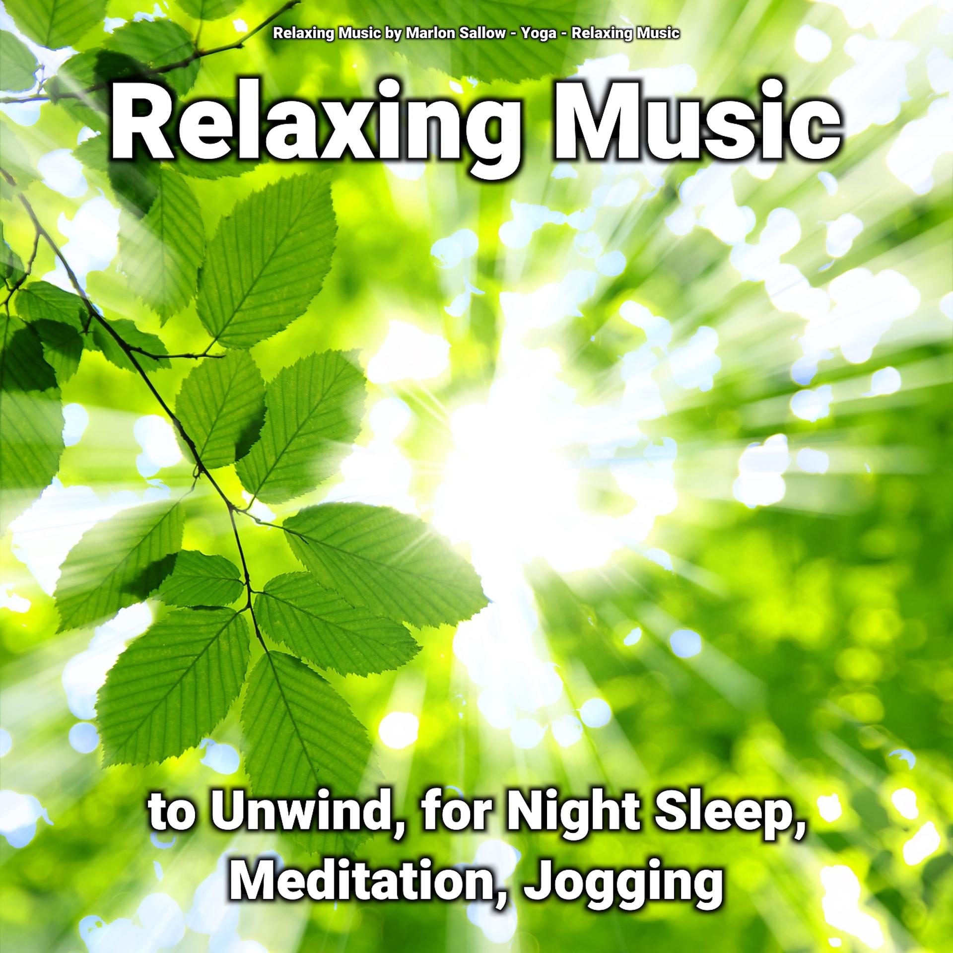 Постер альбома Relaxing Music to Unwind, for Night Sleep, Meditation, Jogging