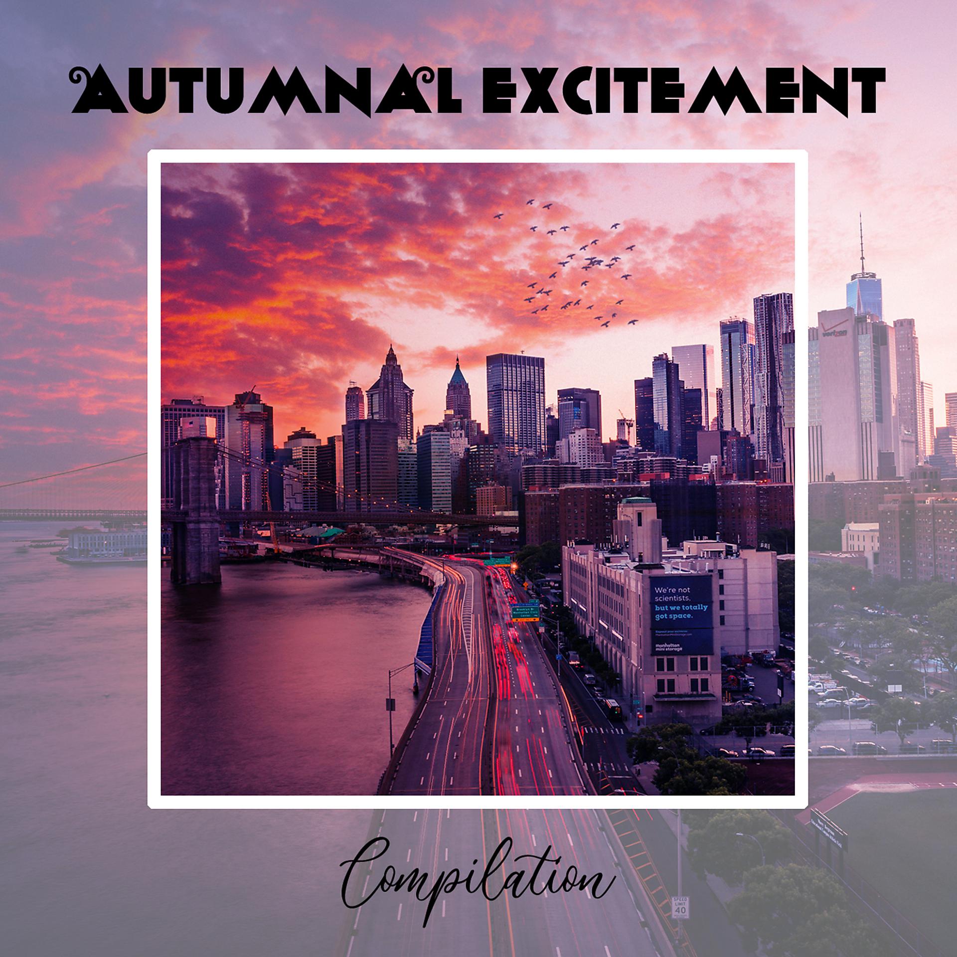 Постер альбома Autumnal Excitement Compilation