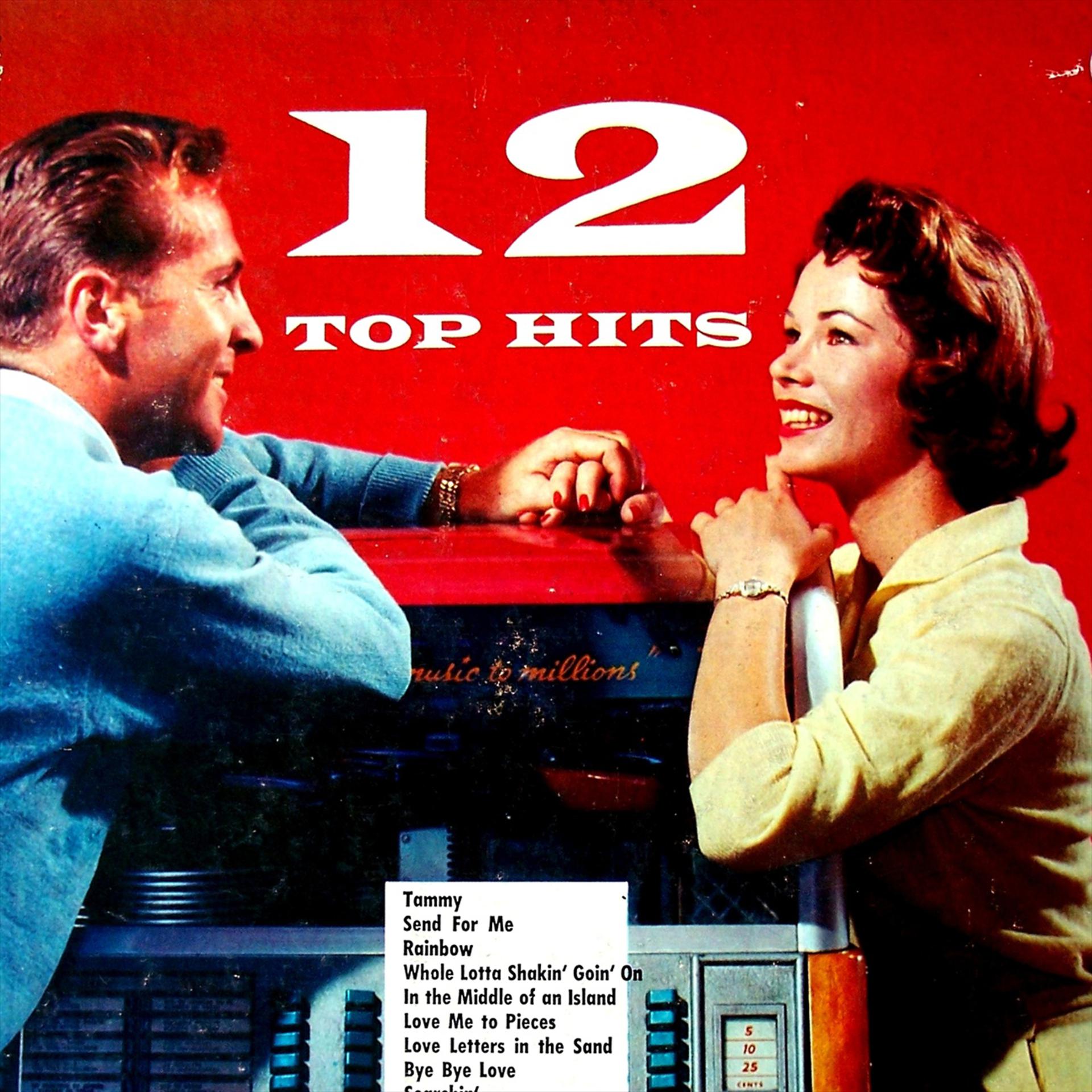 Постер альбома 12 Top Hits