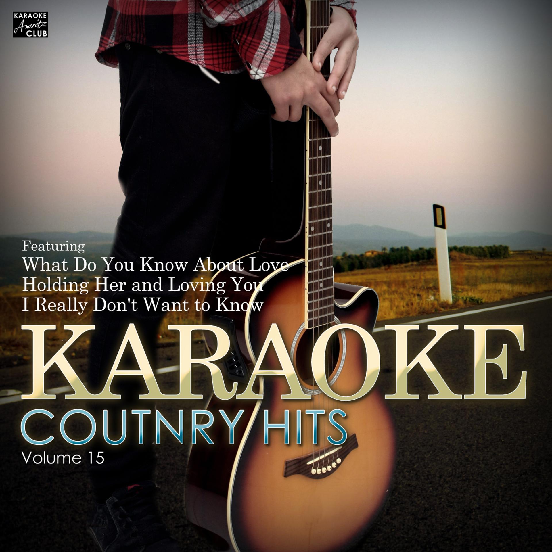 Постер альбома Karaoke Country Hits Vol. 15