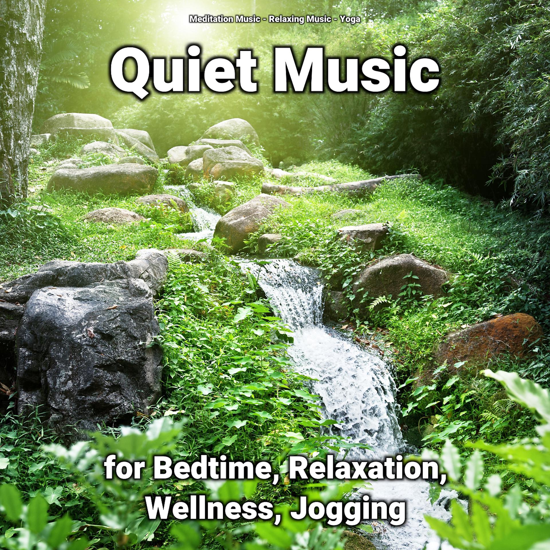 Постер альбома Quiet Music for Bedtime, Relaxation, Wellness, Jogging