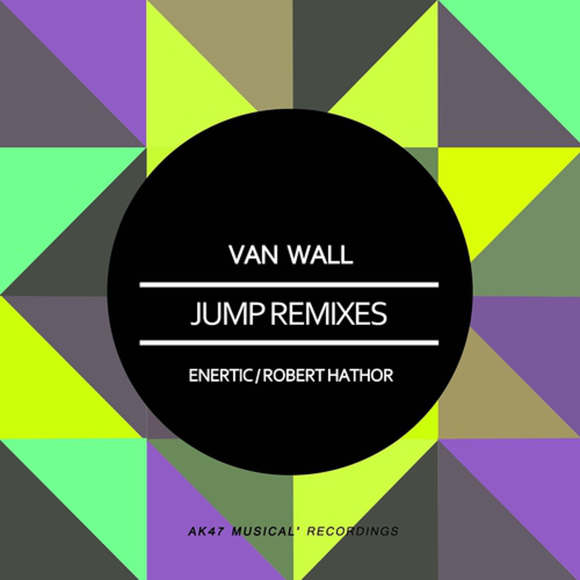 Постер альбома Jump Remixes