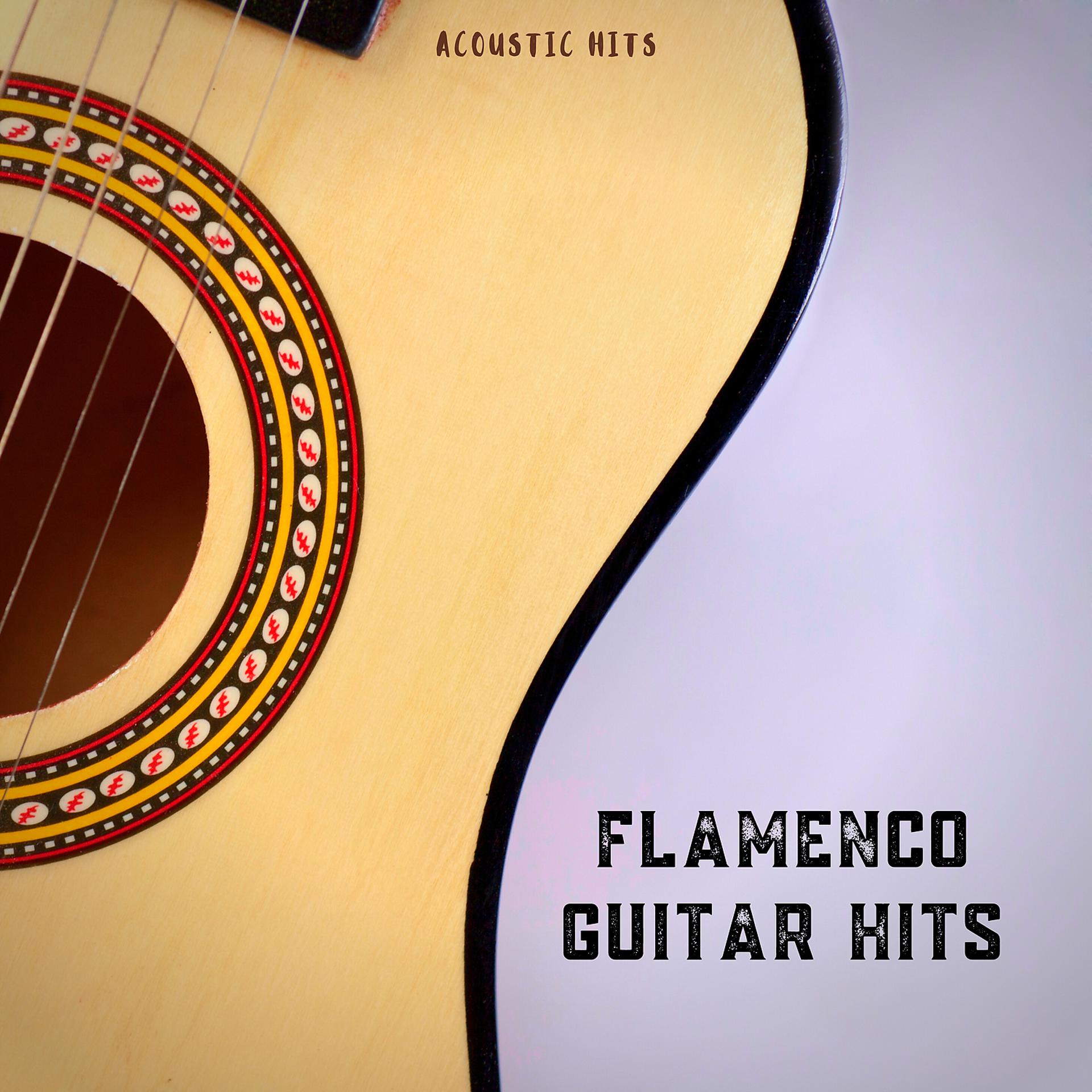 Постер альбома Flamenco Guitar Hits