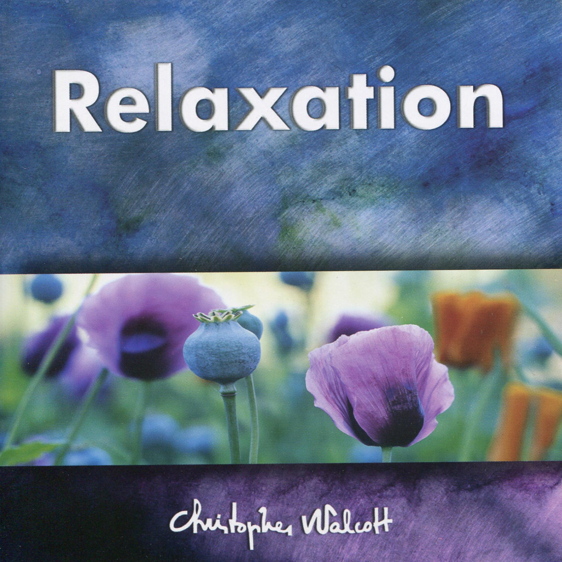 Постер альбома Relaxation - L'instant de la Paix de L'espirit