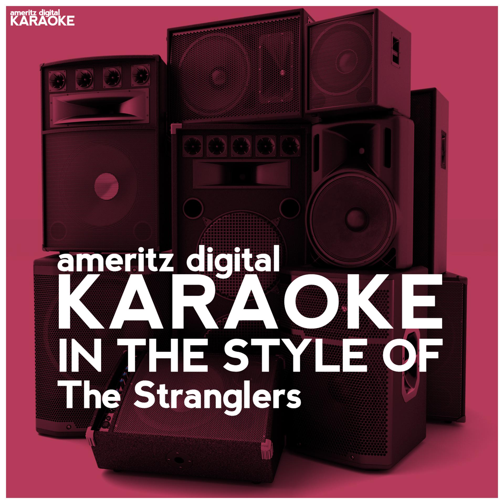 Постер альбома Karaoke (In the Style of the Stranglers)