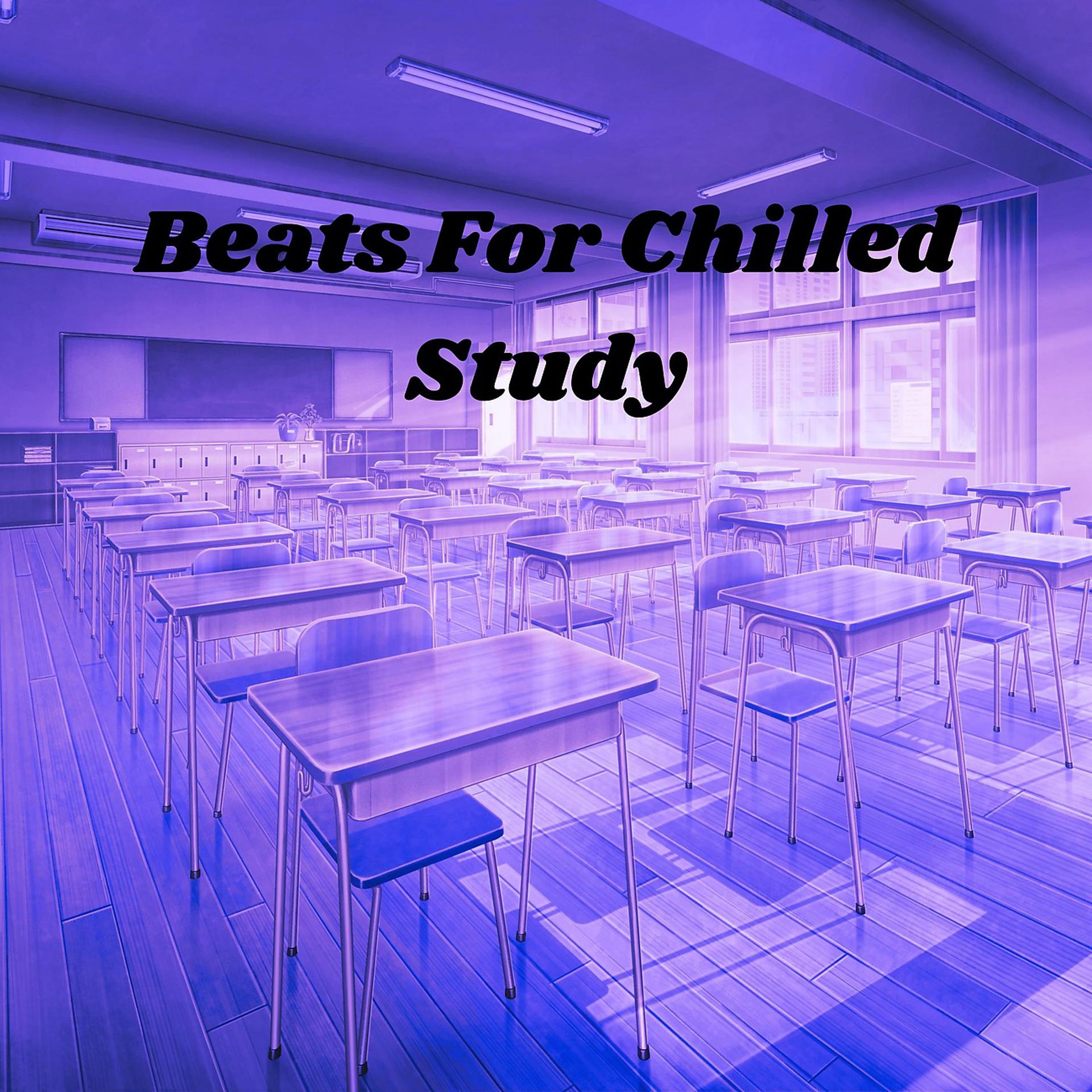 Постер альбома Beats For Chilled Study