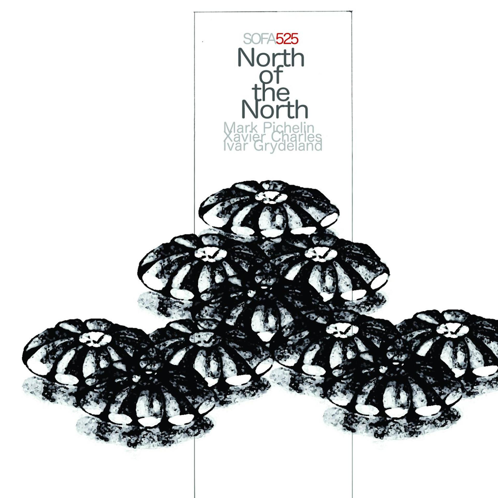 Постер альбома North of the North