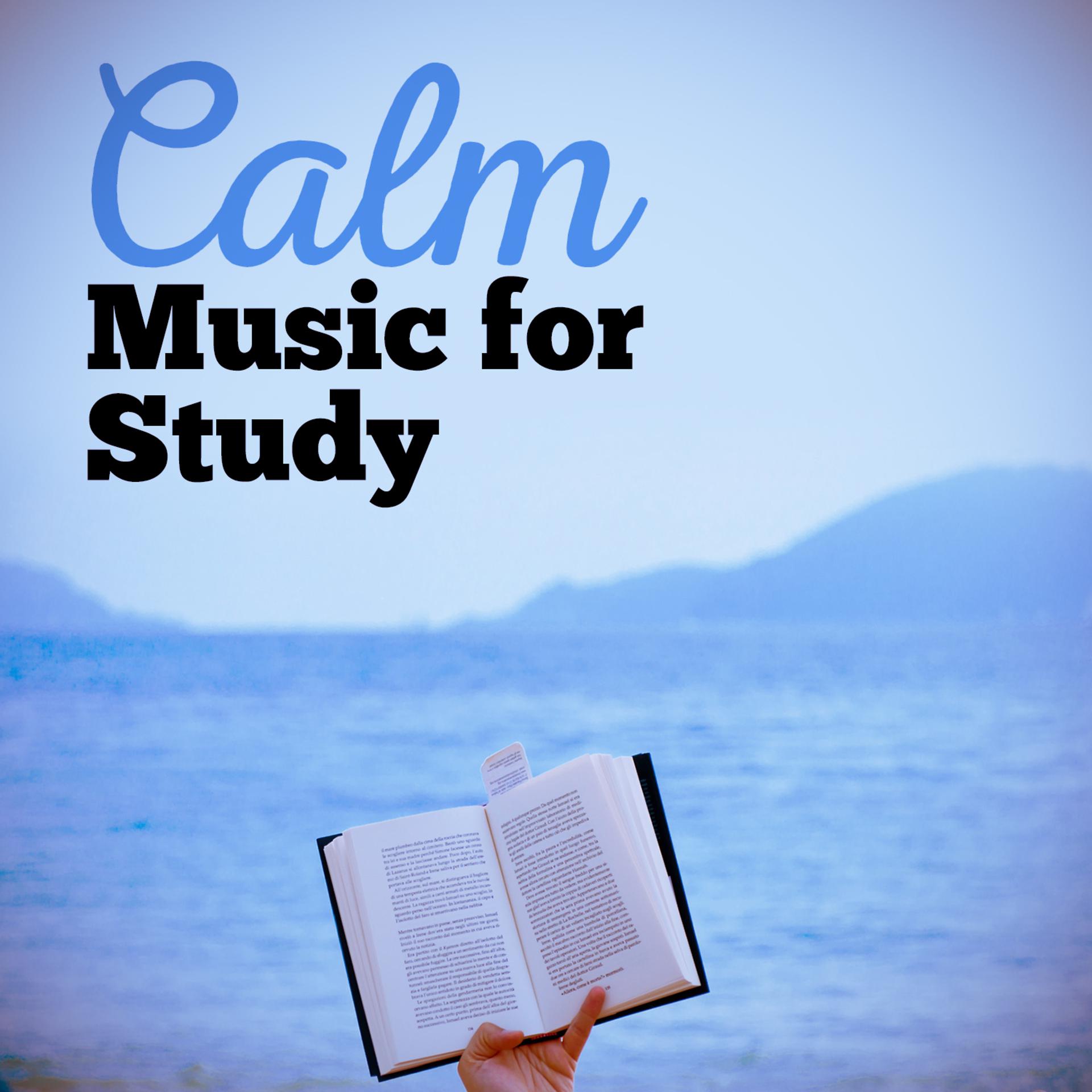 Постер альбома Calm Music for Study