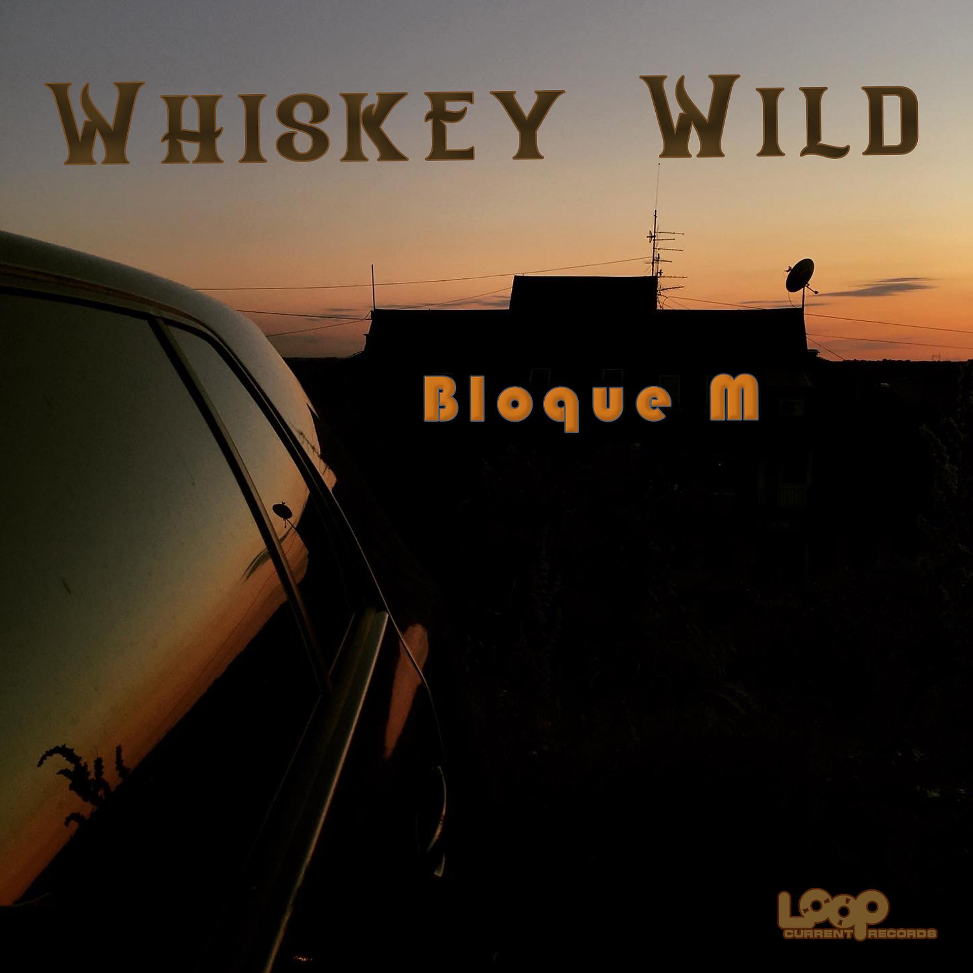 Постер альбома Whiskey Wild