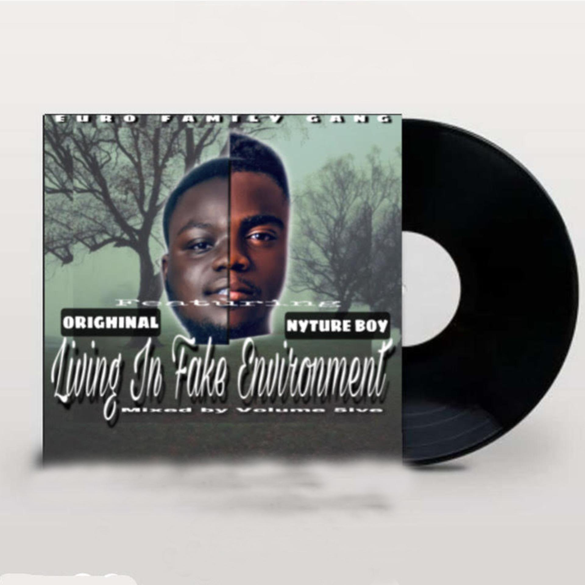 Постер альбома Living in Fake Environment