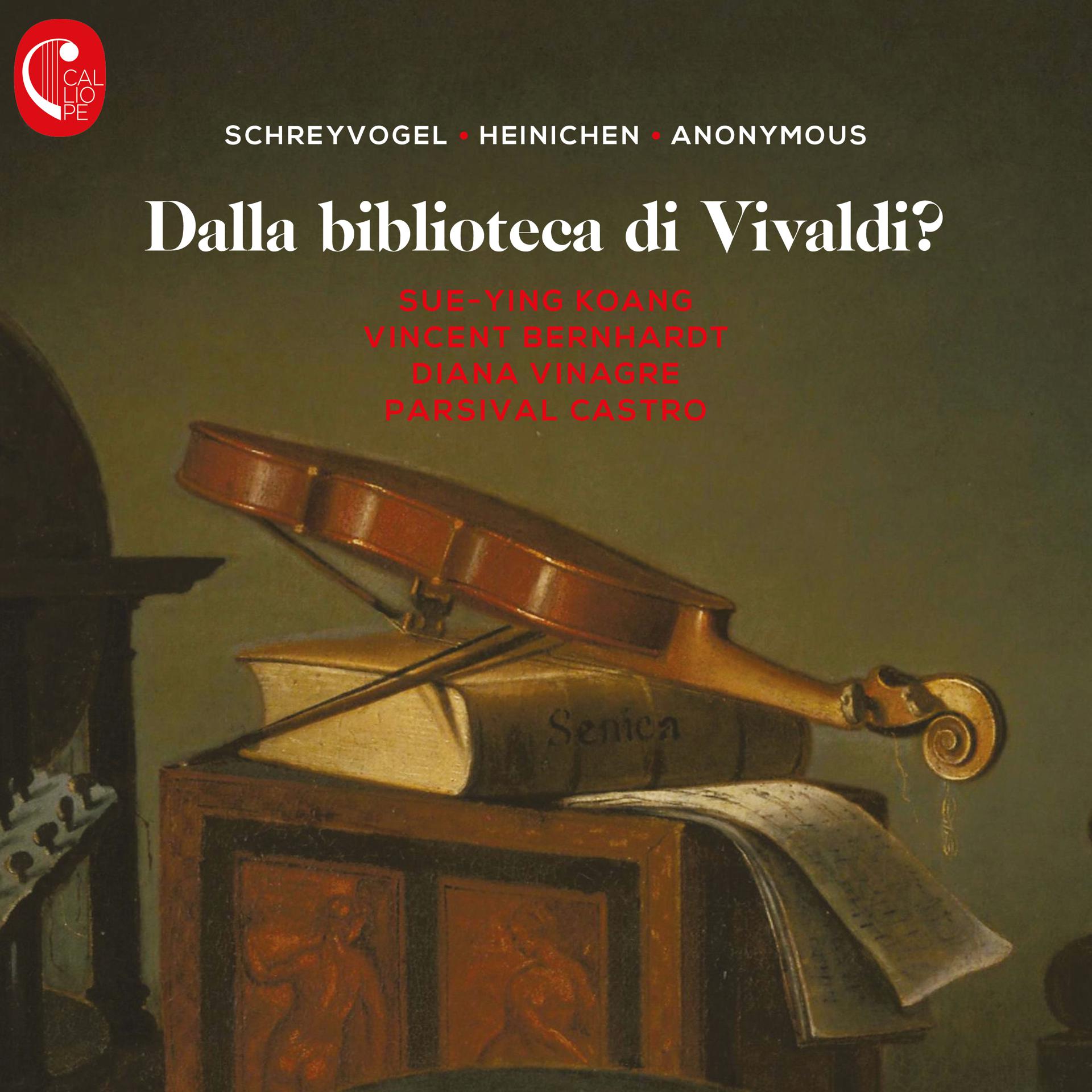 Постер альбома Dalla biblioteca di Vivaldi?