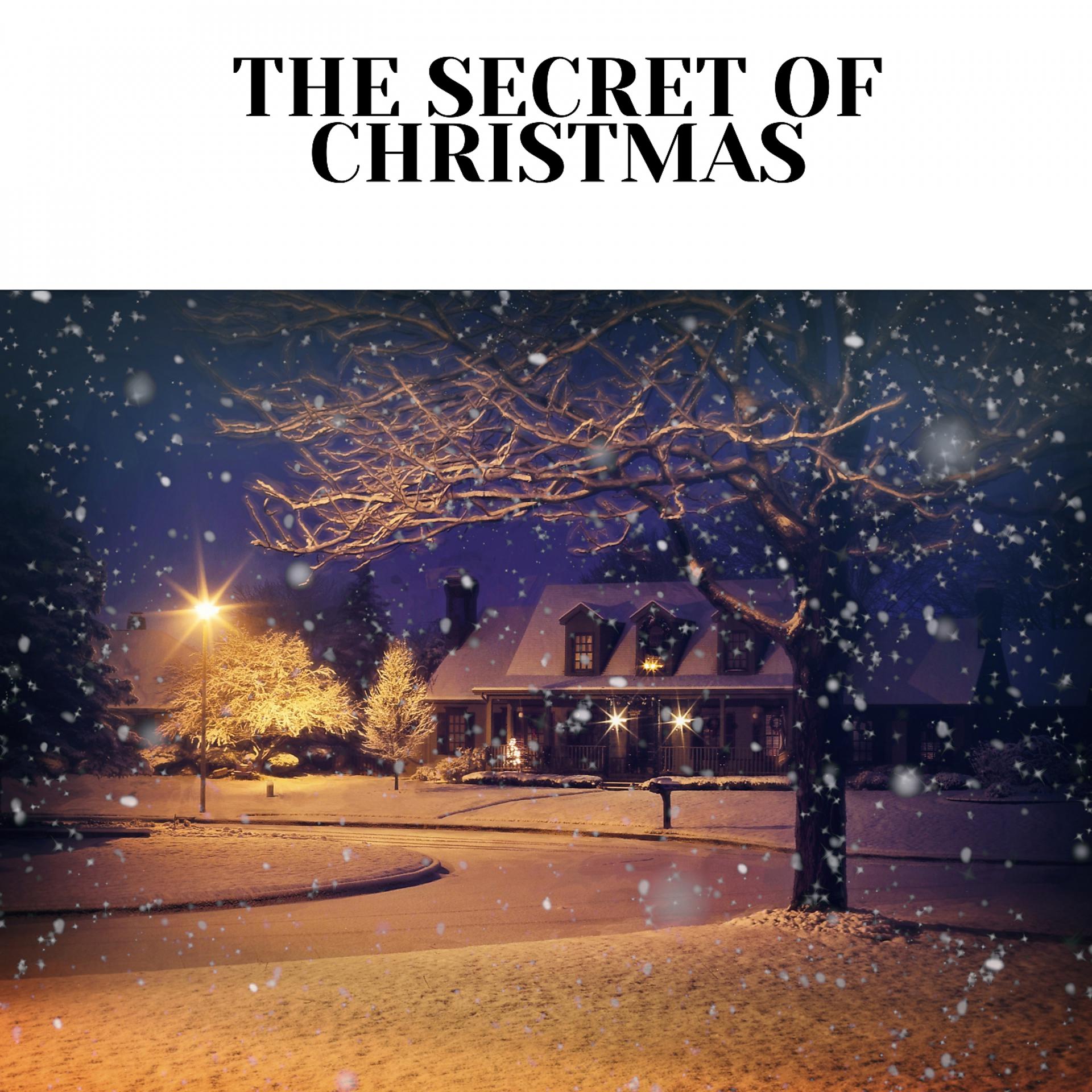 Постер альбома The Secret of Christmas
