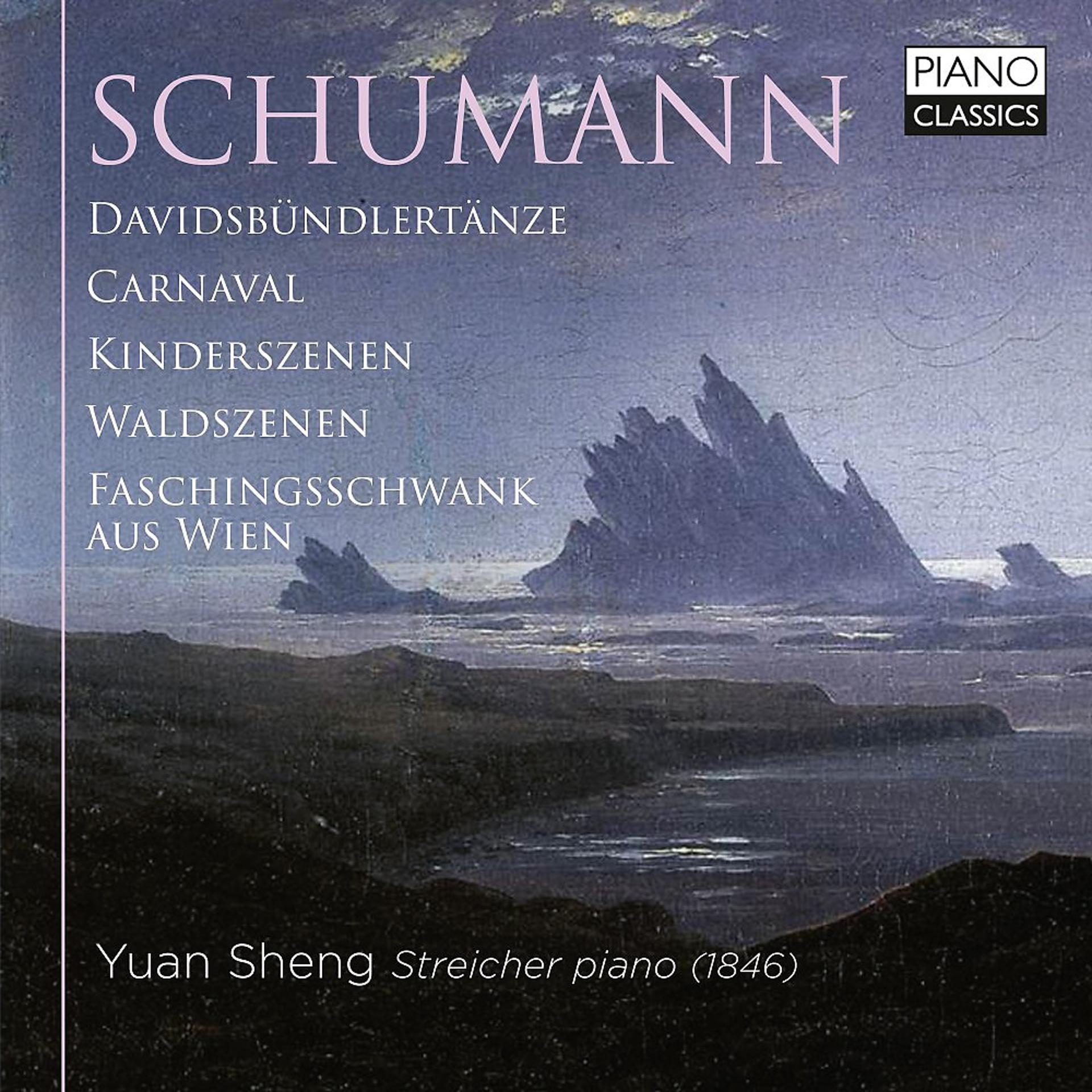 Постер альбома Schumann: Piano Music