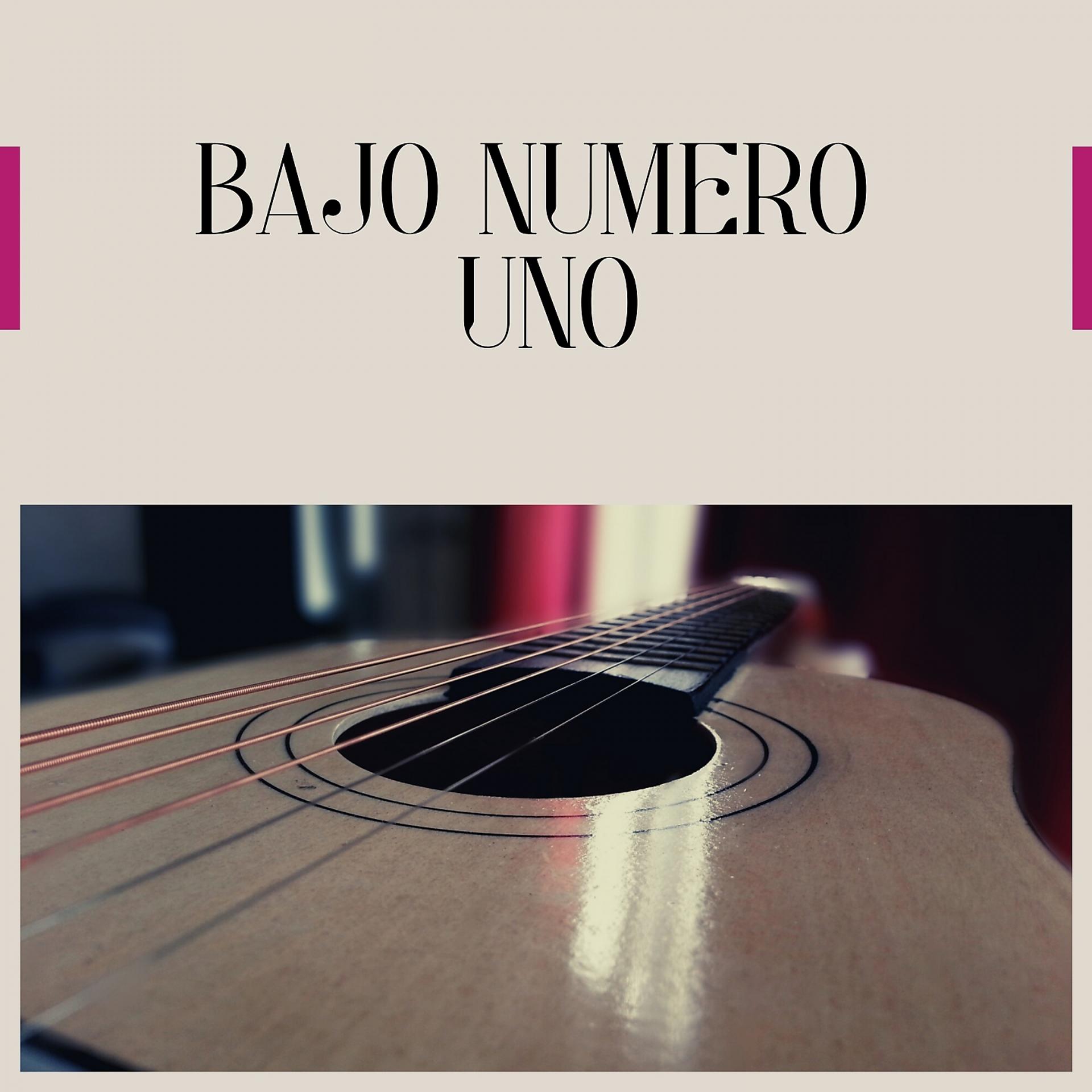 Постер альбома Bajo Numero Uno