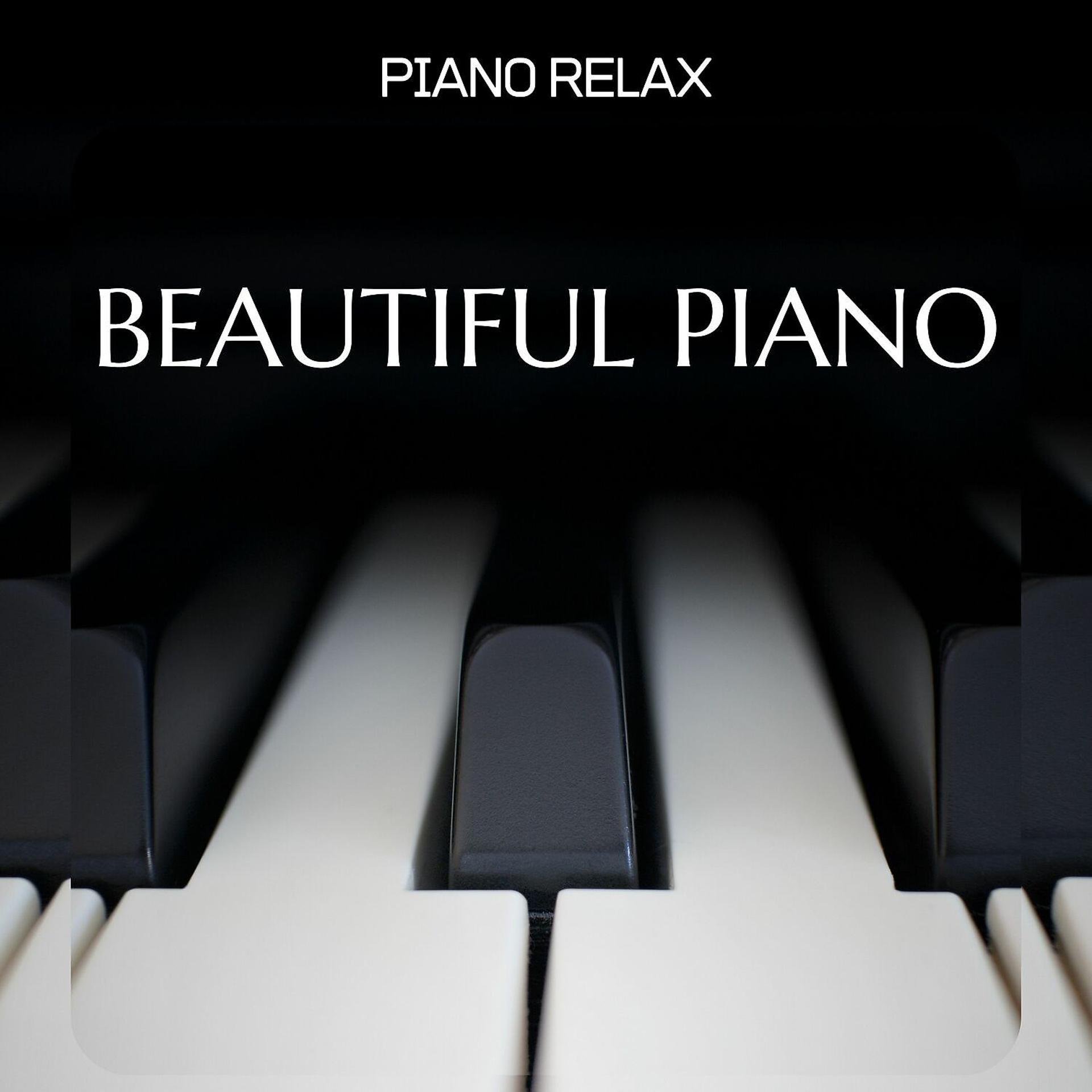 Постер альбома Beautiful Piano Music for Studying and Sleeping