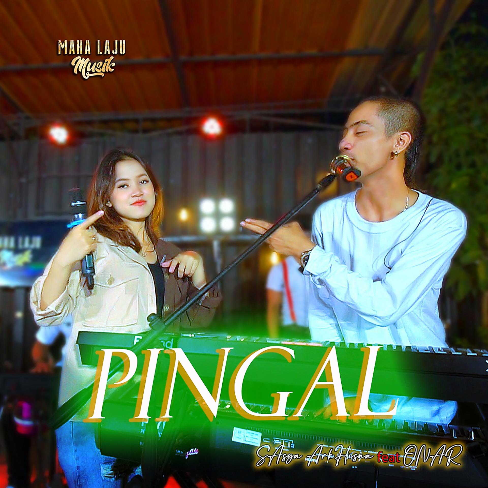 Постер альбома Pingal