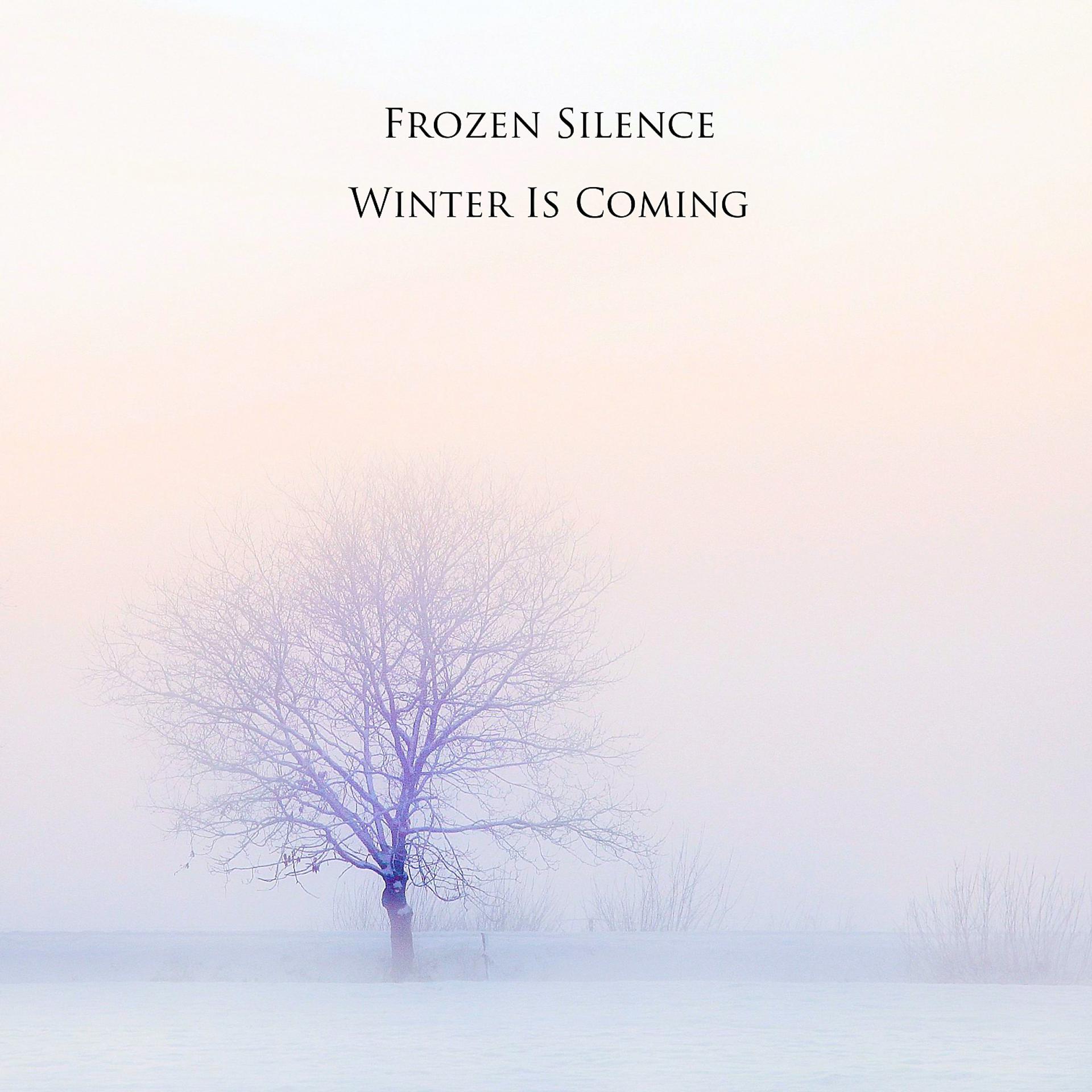 Постер альбома Winter Is Coming