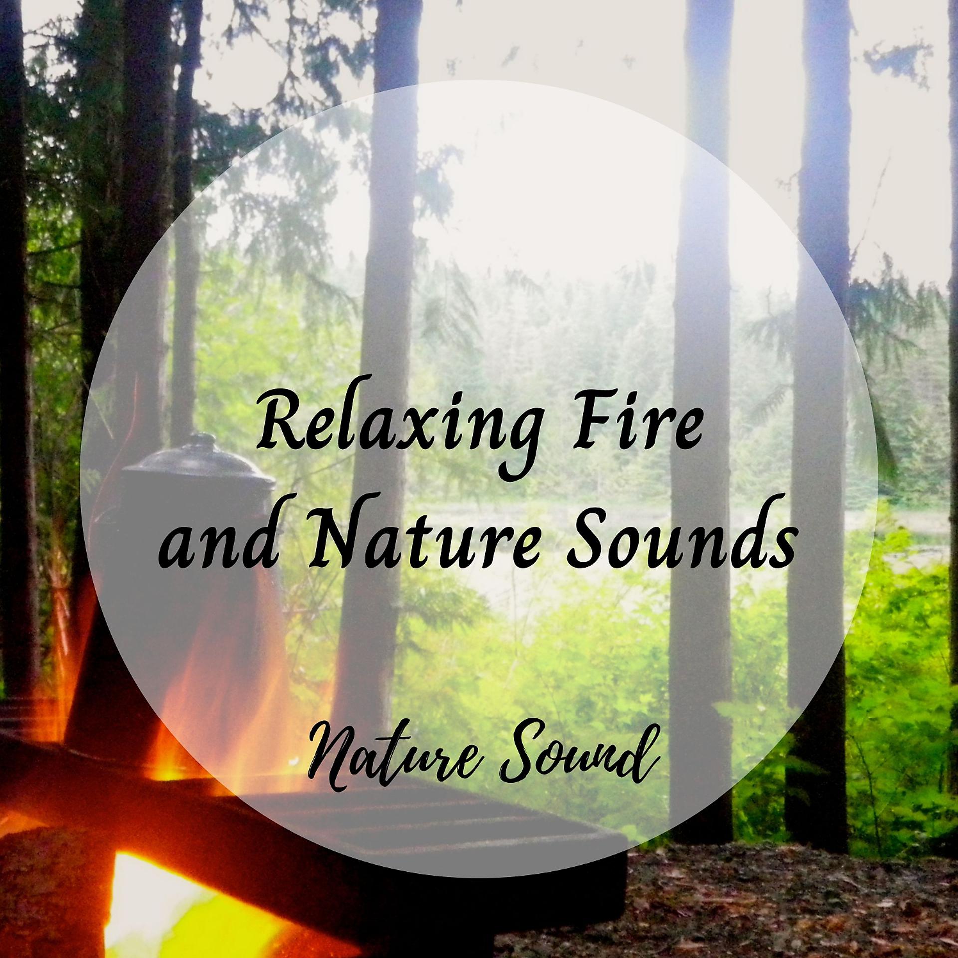 Постер альбома Nature Sound: Relaxing Fire and Nature Sounds