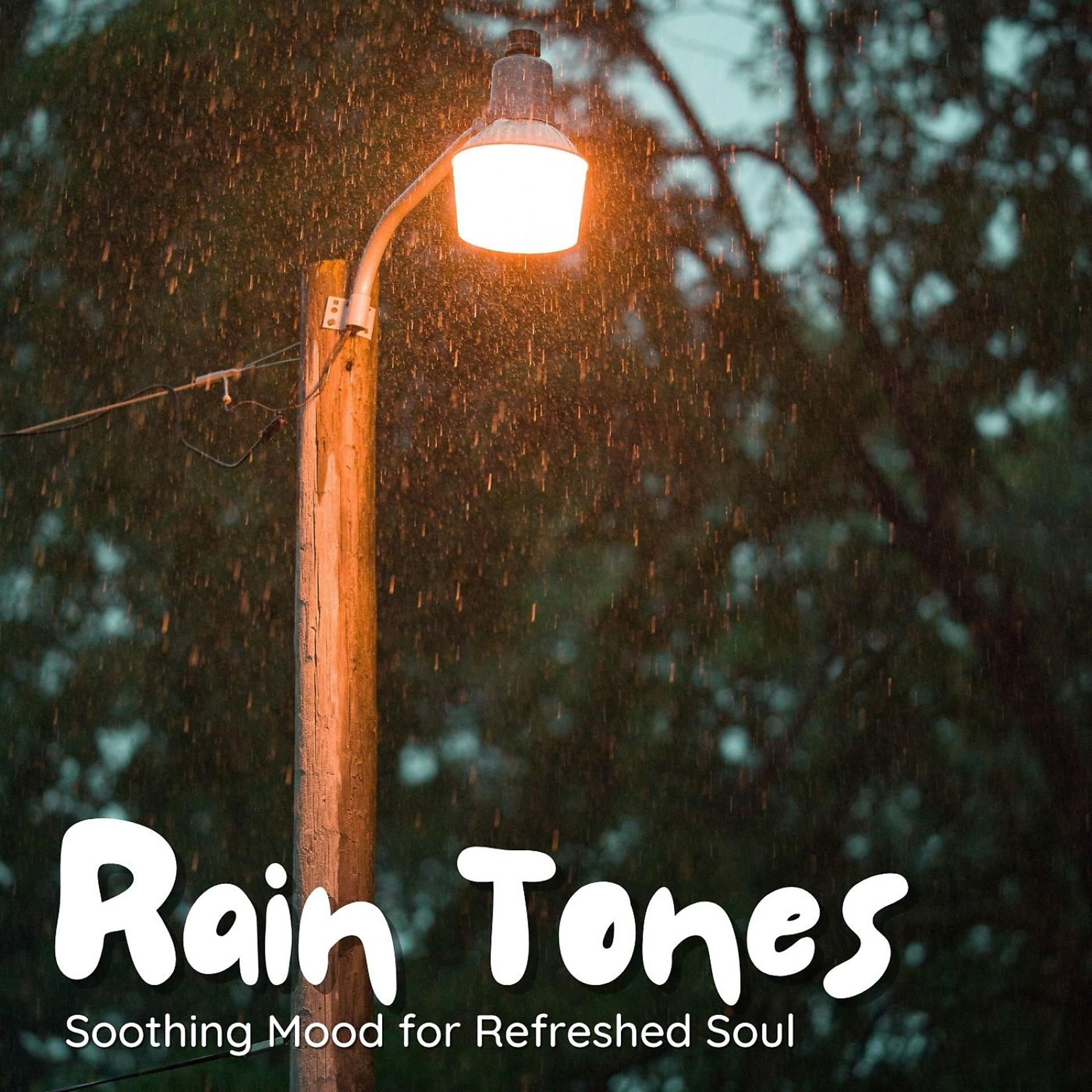 Постер альбома Rain Tones: Soothing Mood for Refreshed Soul